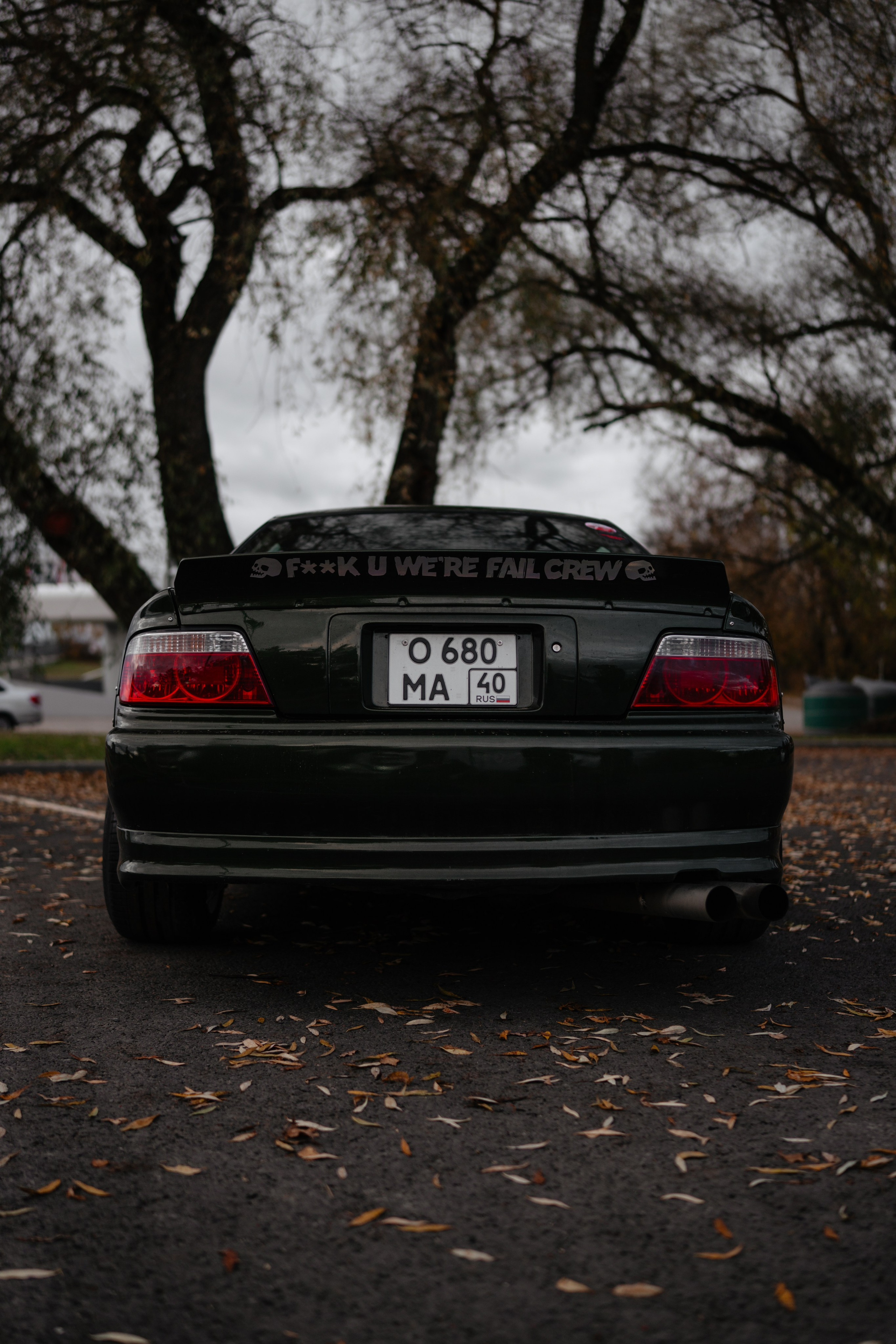 Toyota & BMW. Vlad Trykov