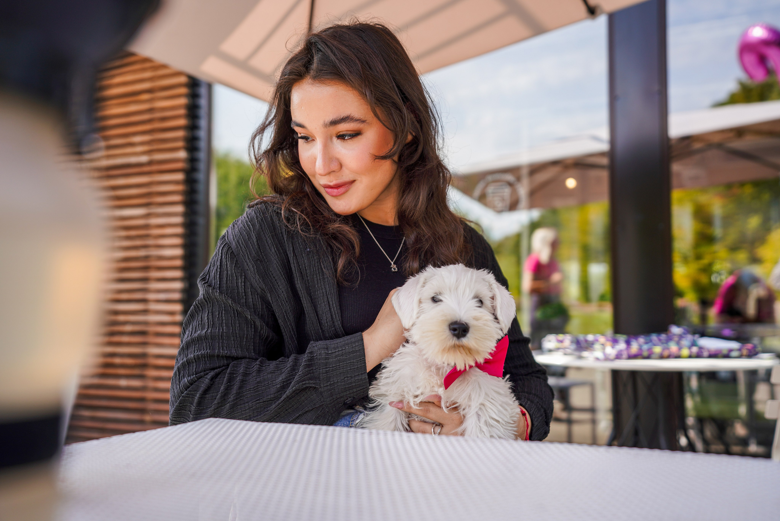 ДР собаки по имени Моррис :). Фотограф Казань