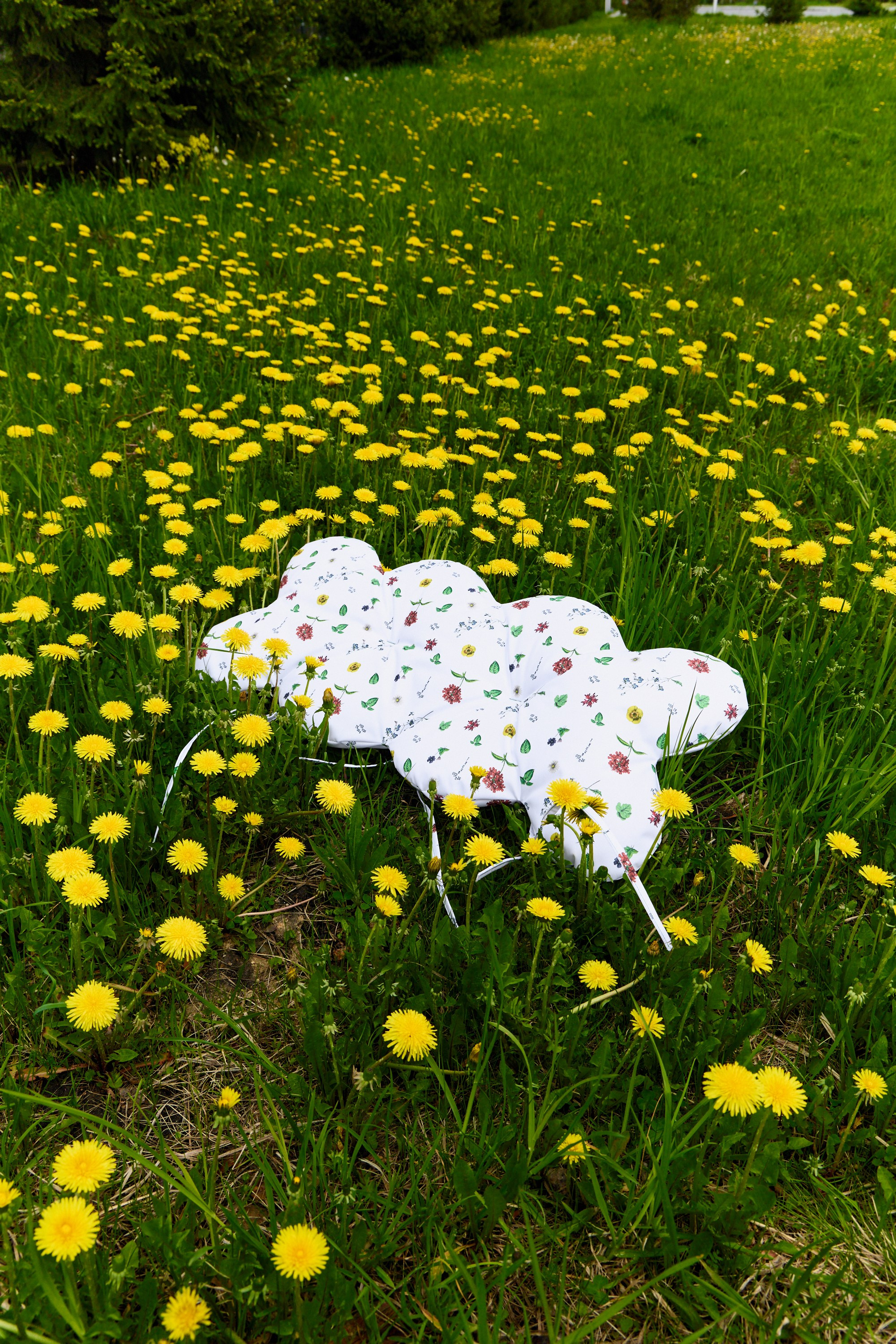 ANNKI STUDIO. Sasha Lapin