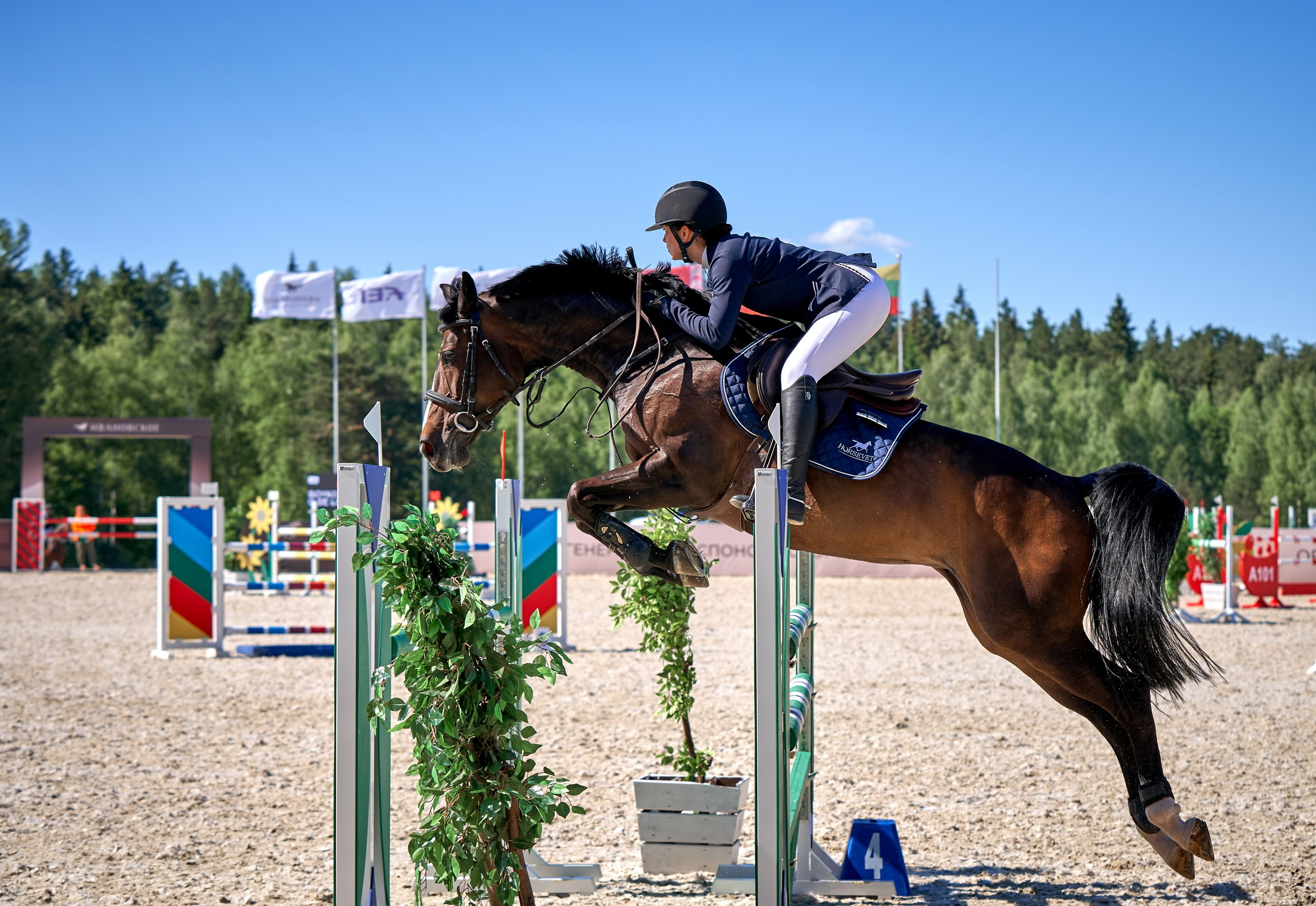 Соревнования на лошадях — галерея NATRIEL