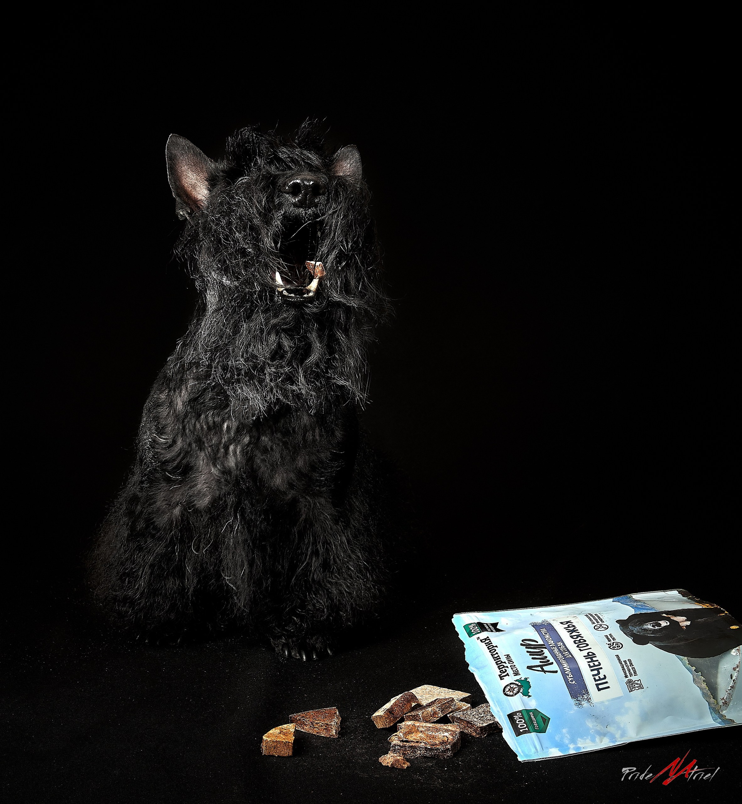 Реклама с животными — галерея NATRIEL