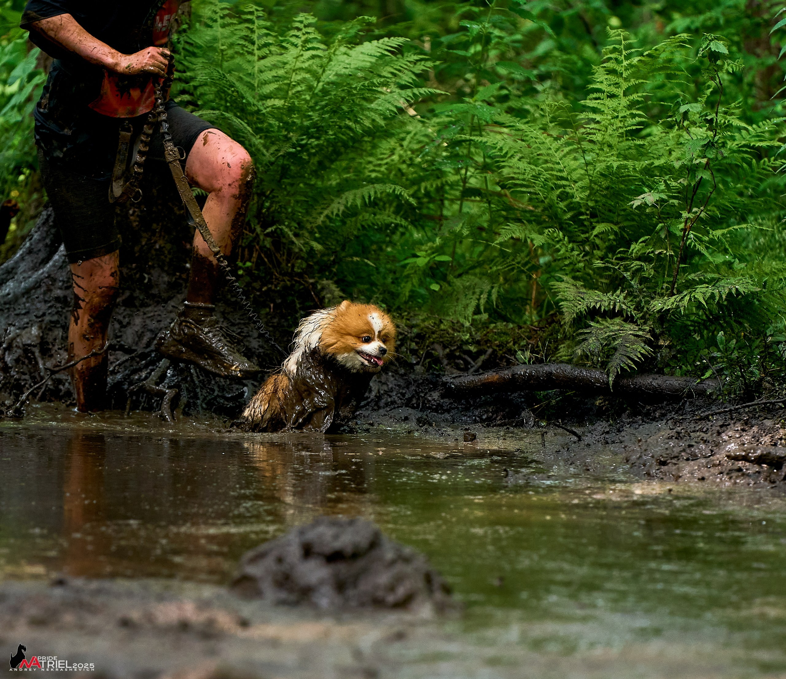 Russian Extreme Dog Trail — 2025