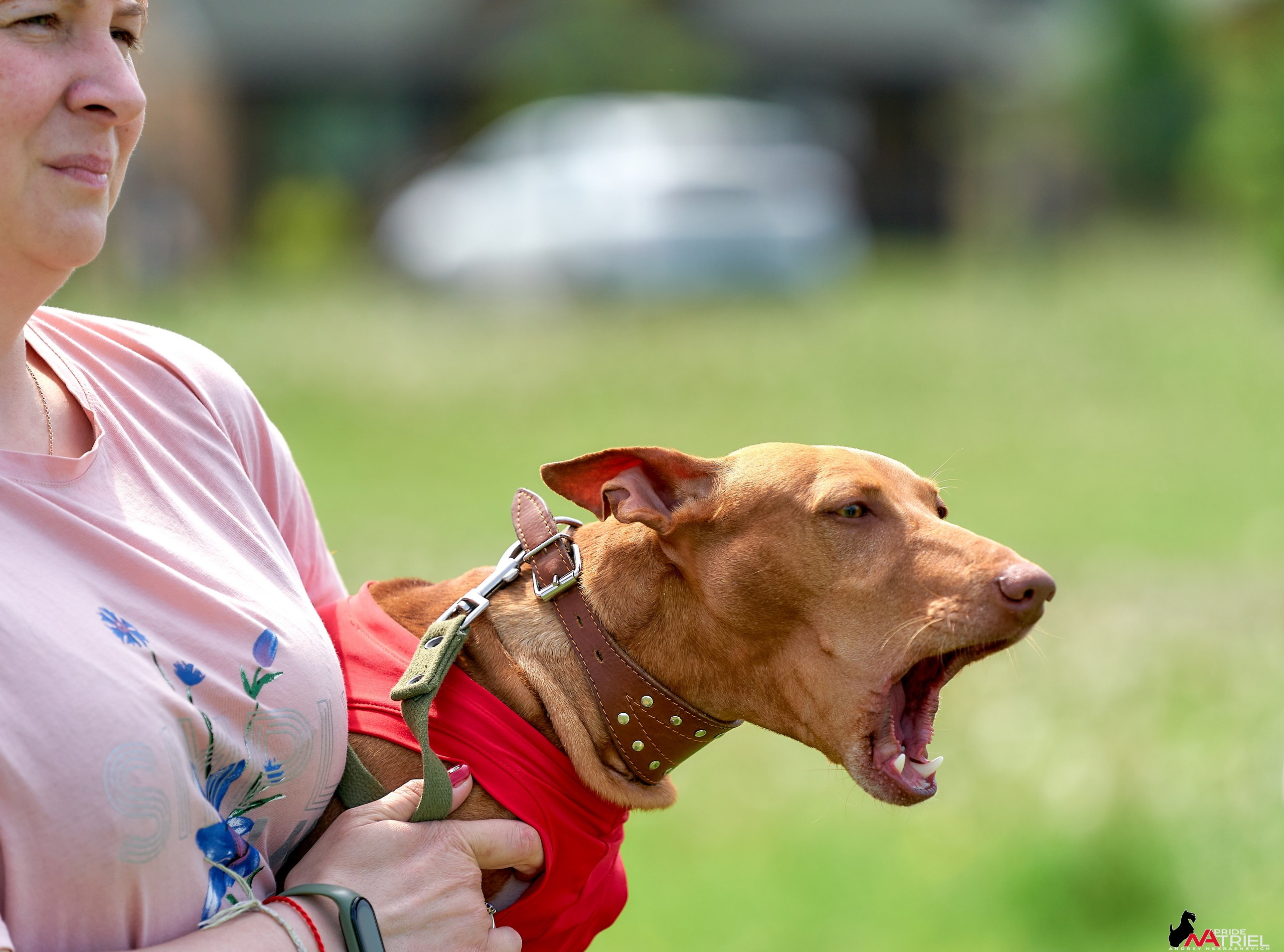 Съемка курсинг — галерея NATRIEL