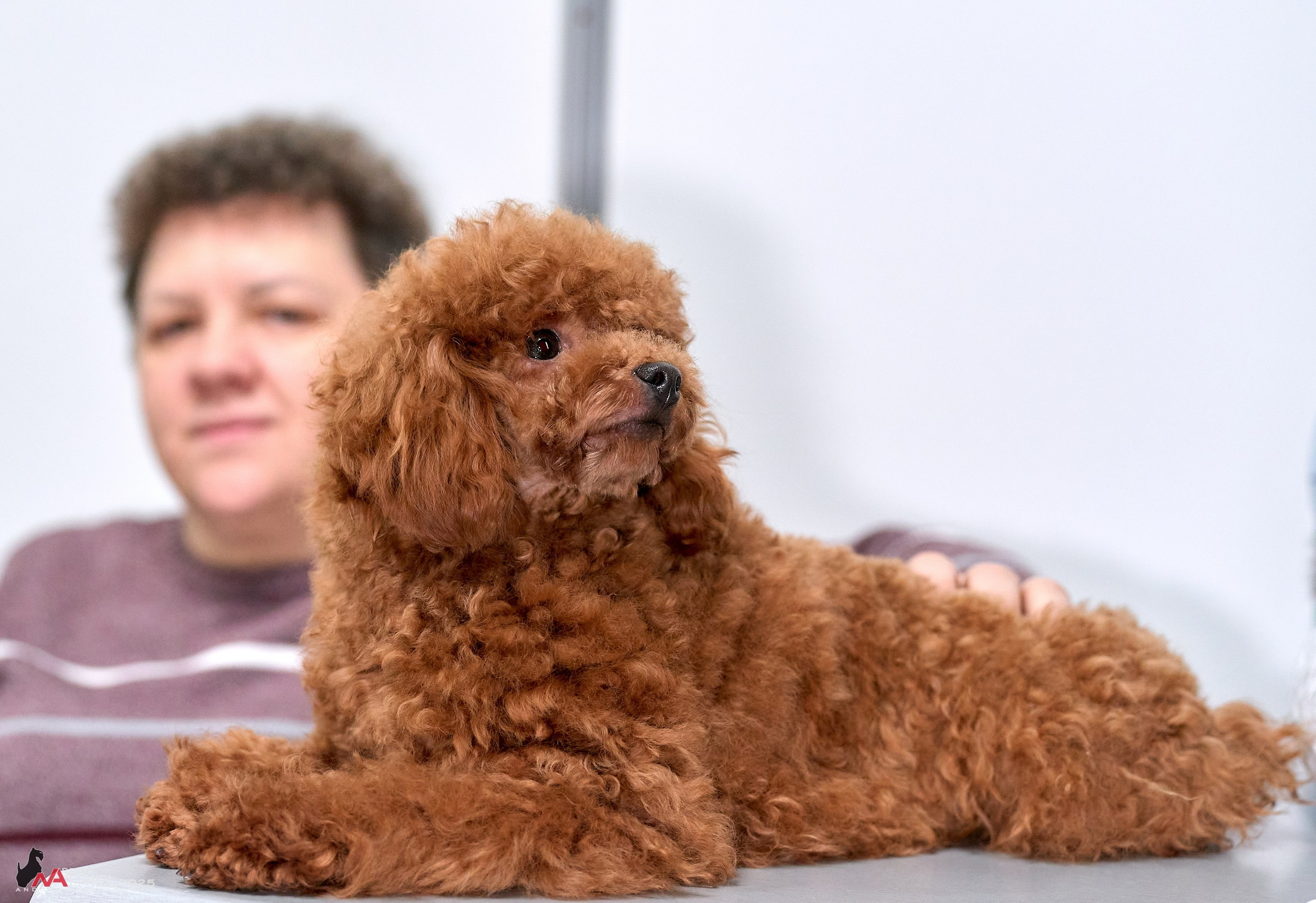 Репортаж с ЗООФЕСТ в Крокусе