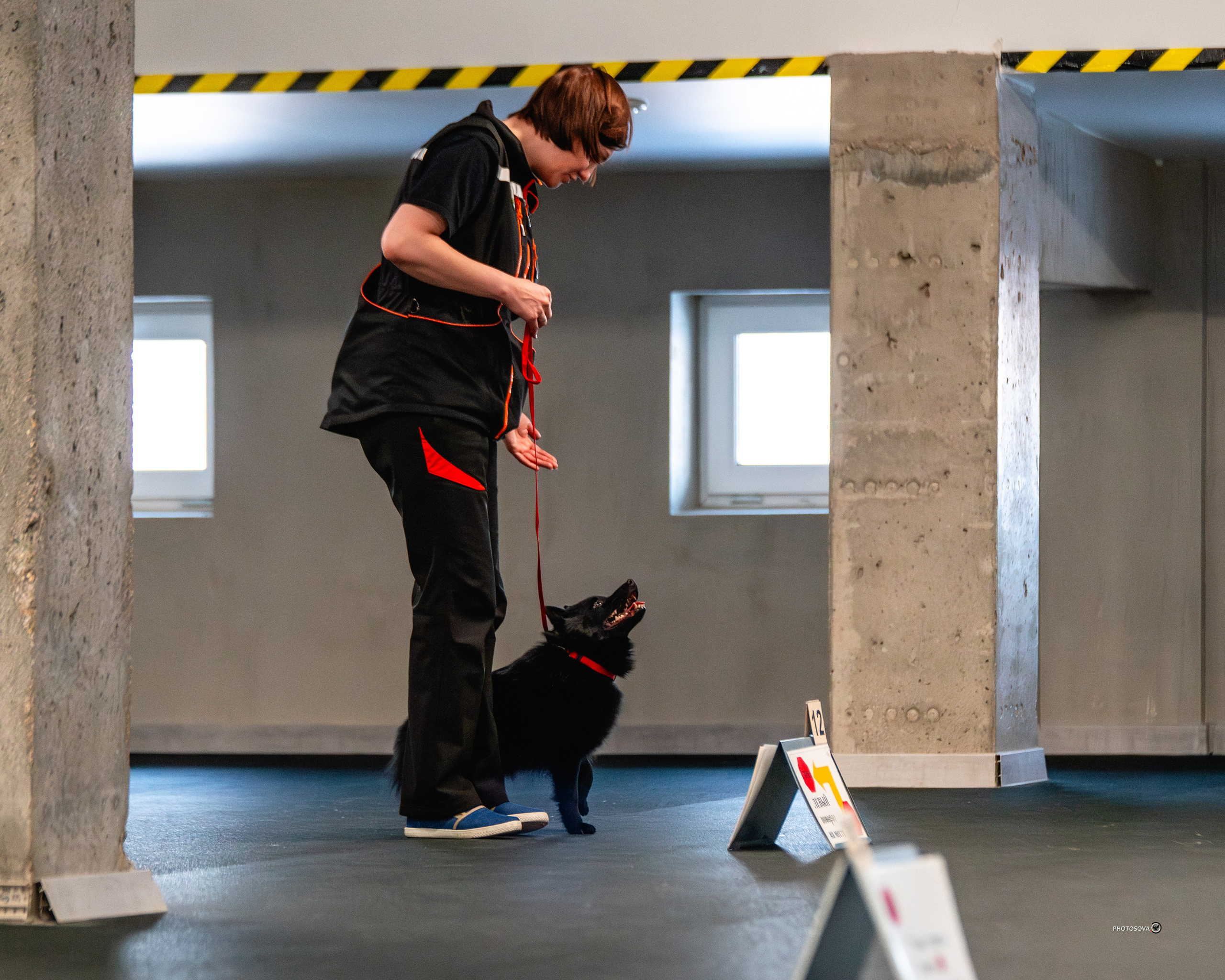 ТЫ И Я (соревнования по ралли-обидиенс). Фотограф-анималист, семейный фотограф в Москве и Подмосковье. Фотосъёмка кинологических дисциплин