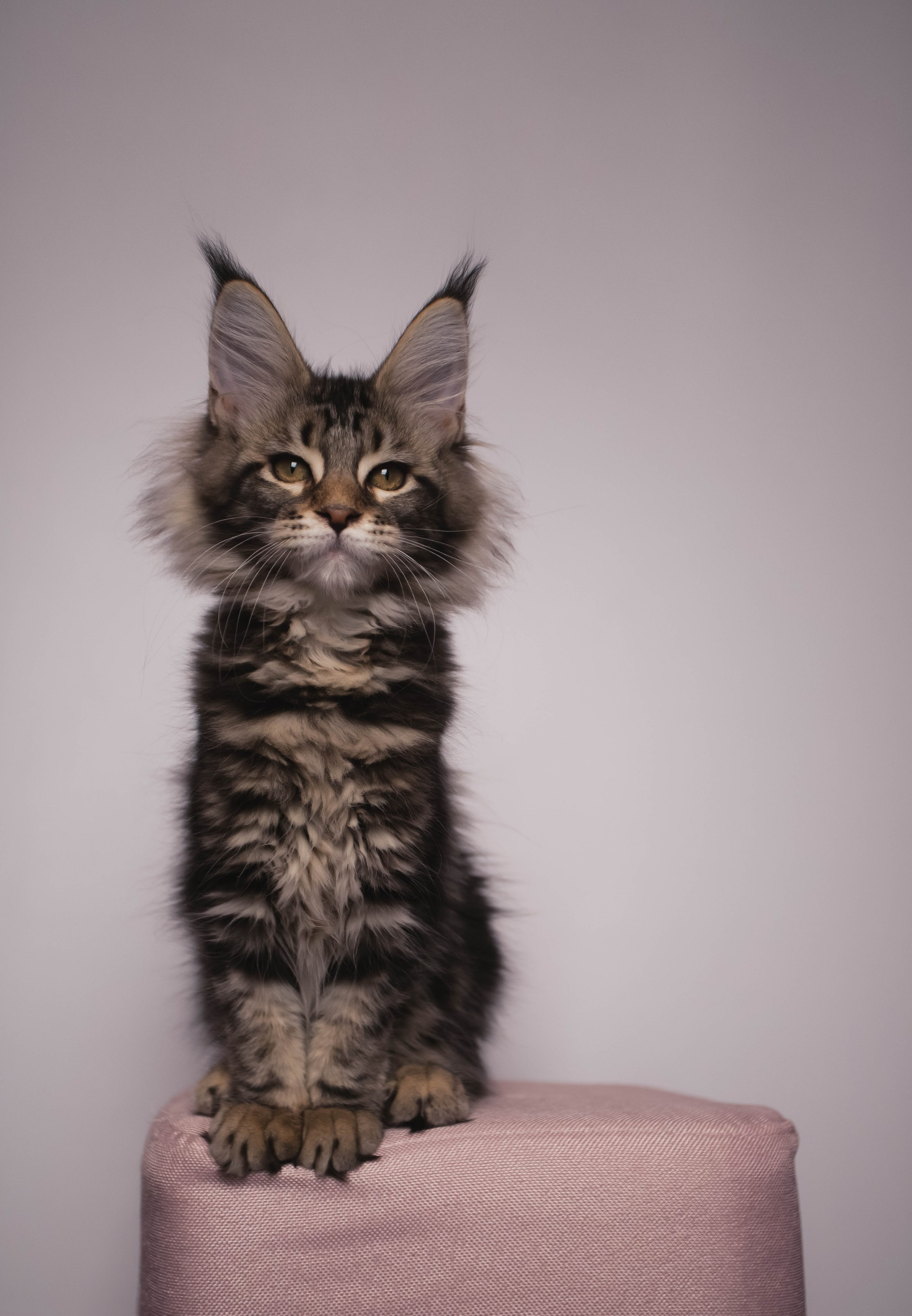 HanFors. Женский и предметный фотограф