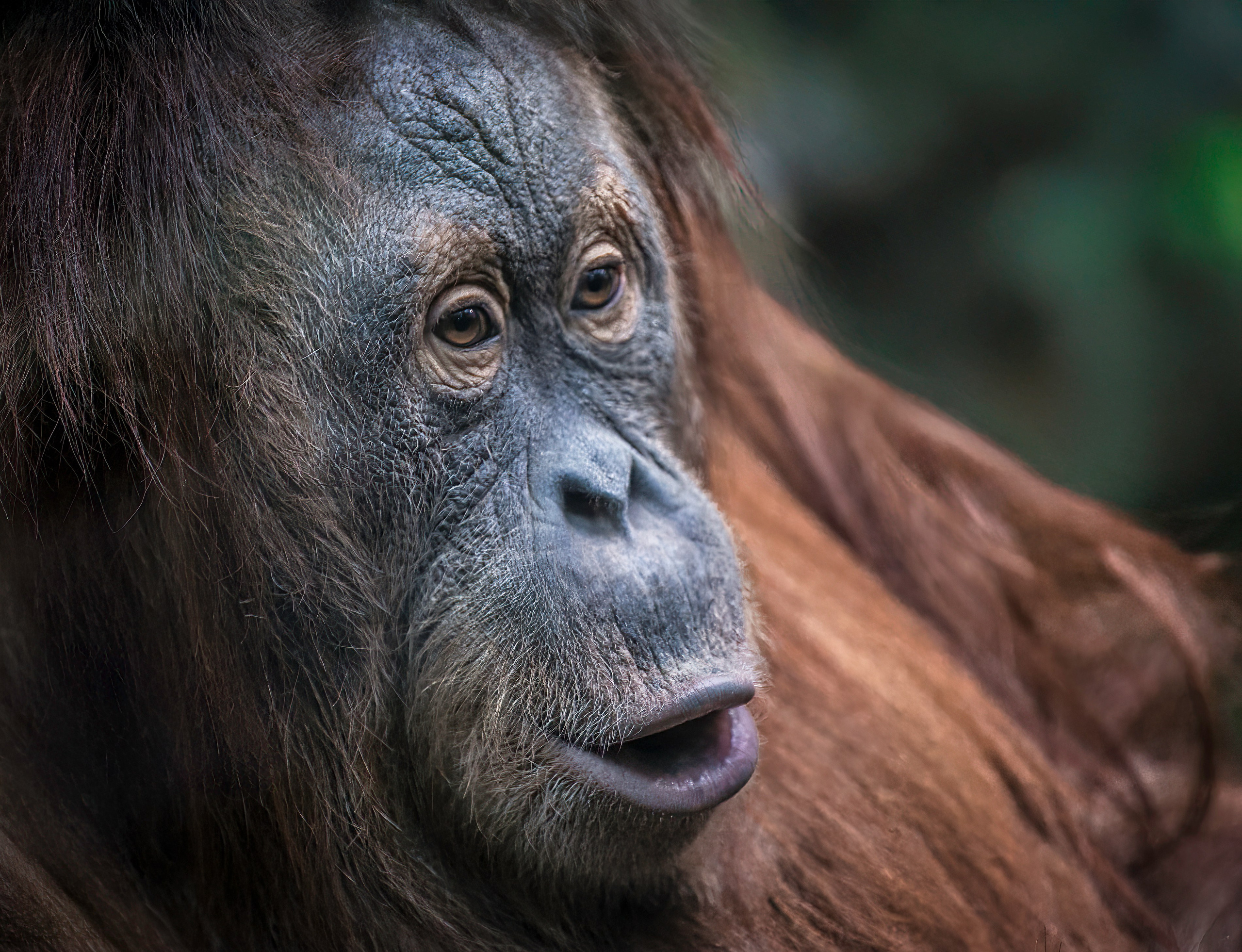 ЗООПАРК. Фотограф Владимир Остапенко