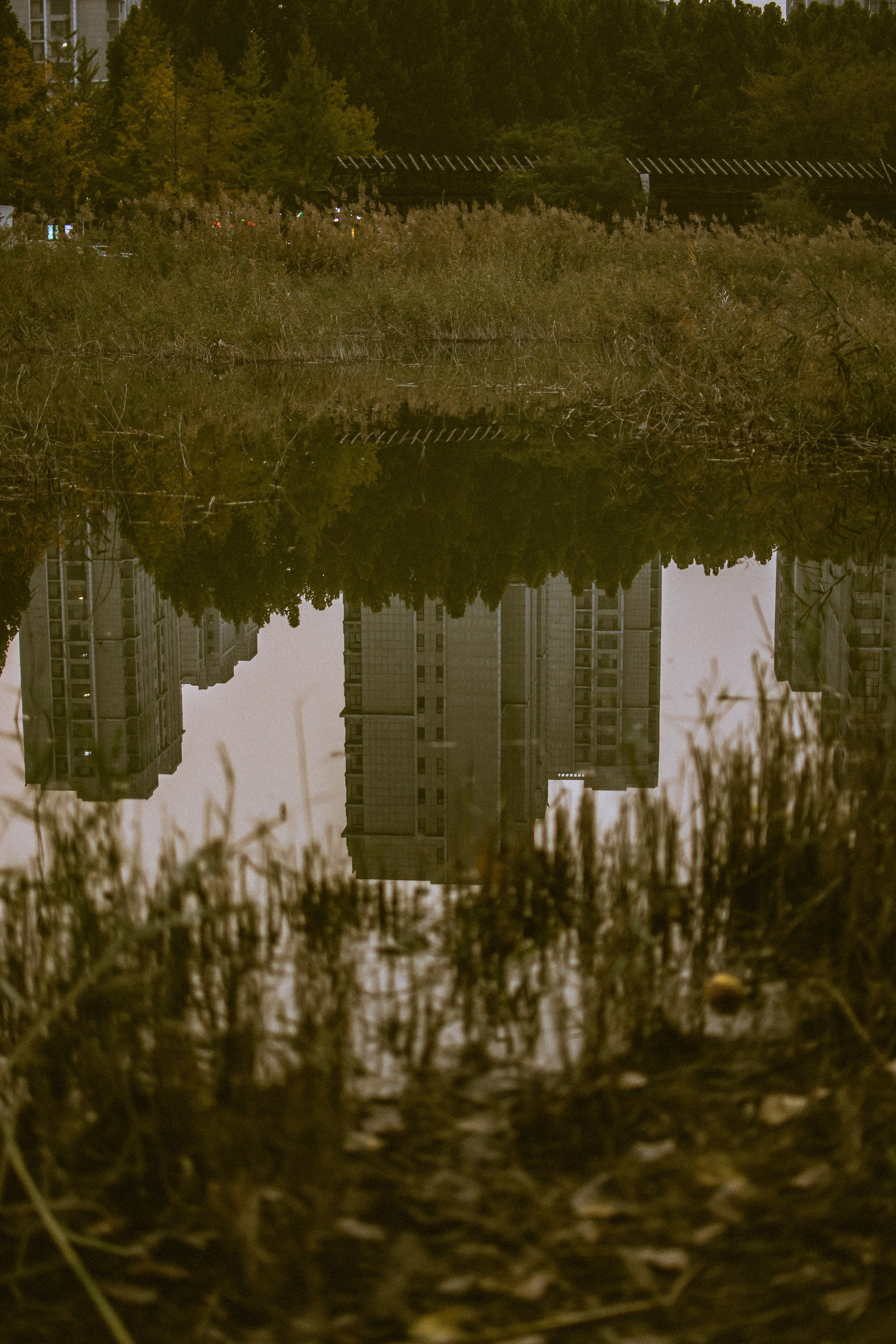 PROJECTS. Photographer Viktoriia “FENSELIYA”