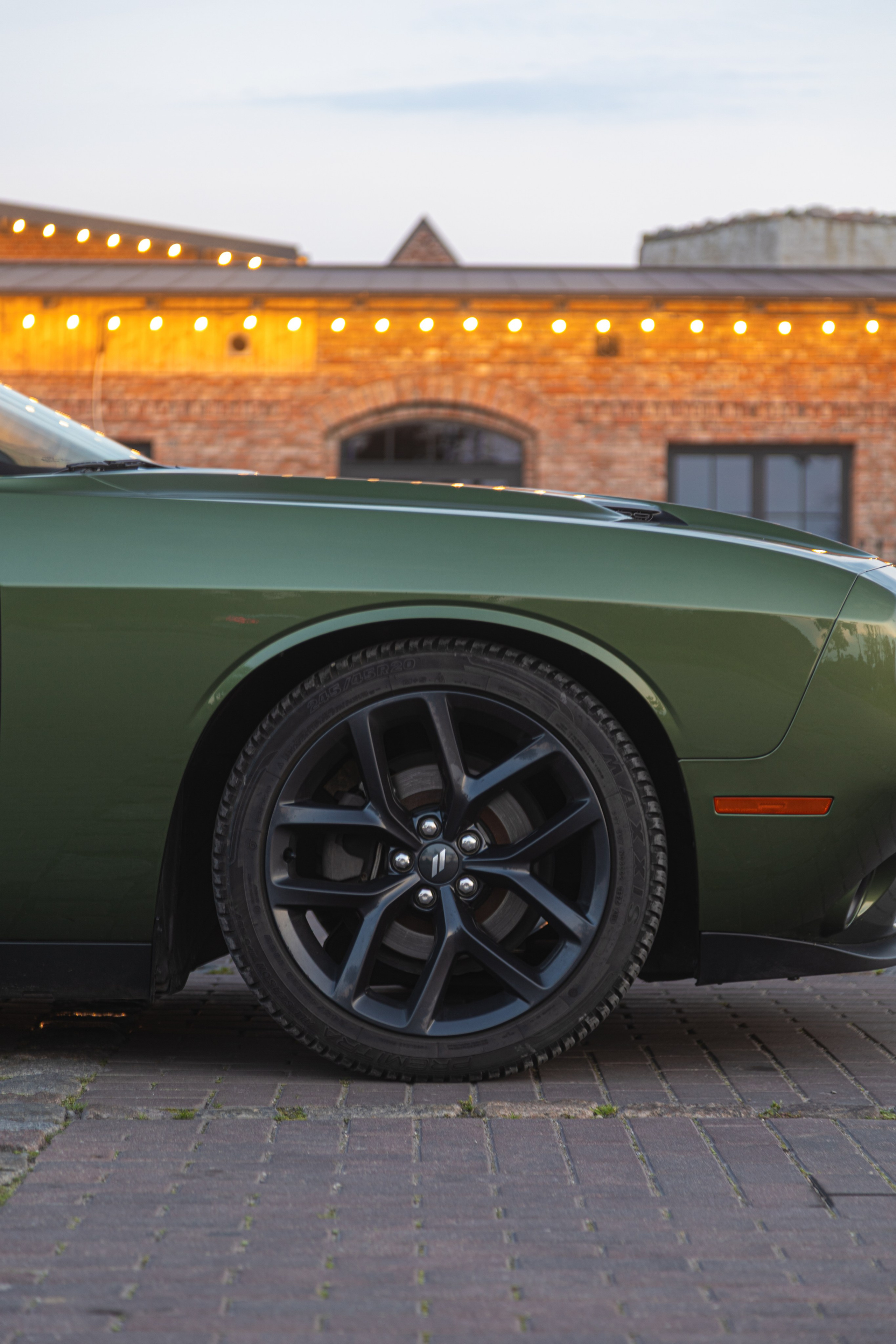 Partner Rent — Dodge Challenger. — Digital Noise —