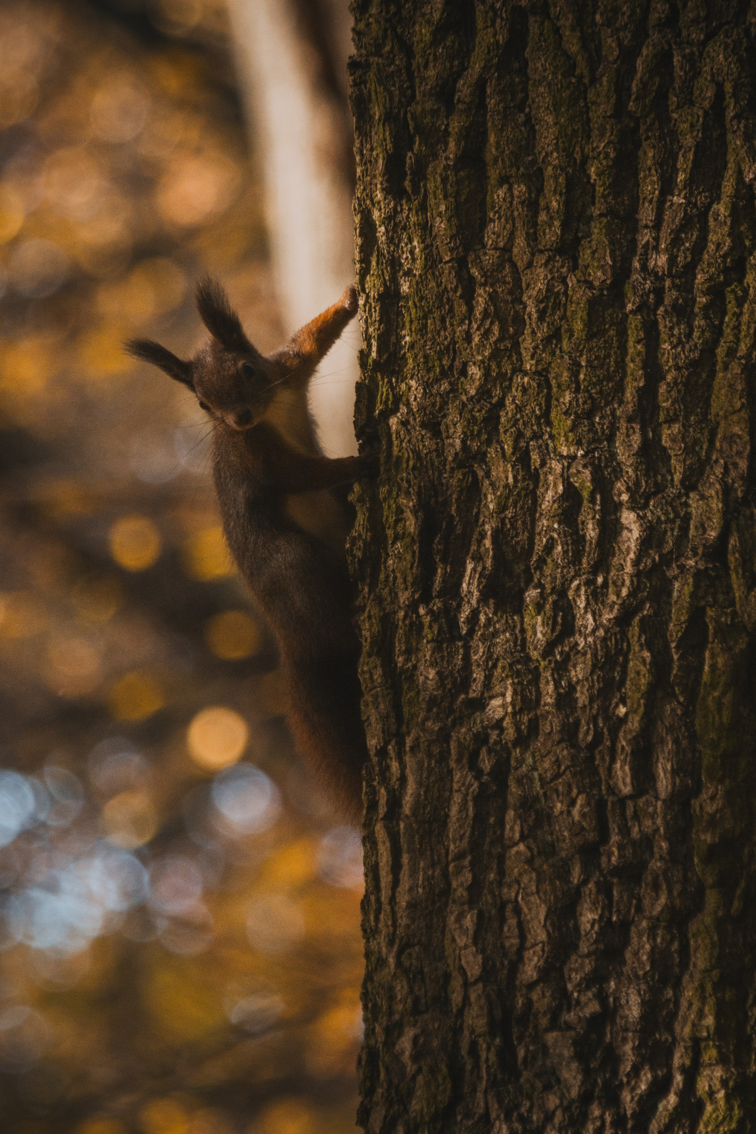 Р А З Н А Я — Ж И В Н О С Т Ь. — Digital Noise —