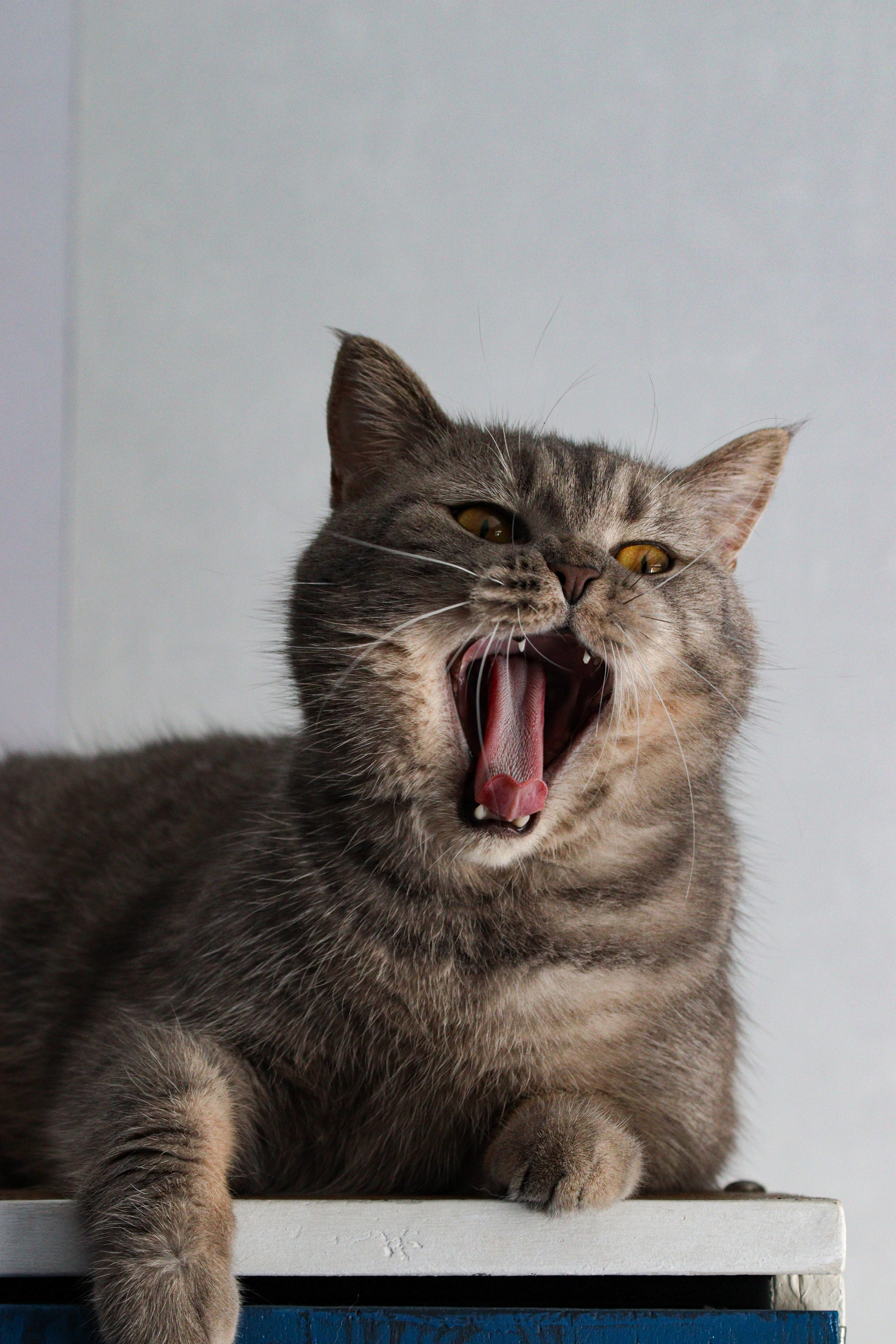 М А Р Т И Н. — Digital Noise —