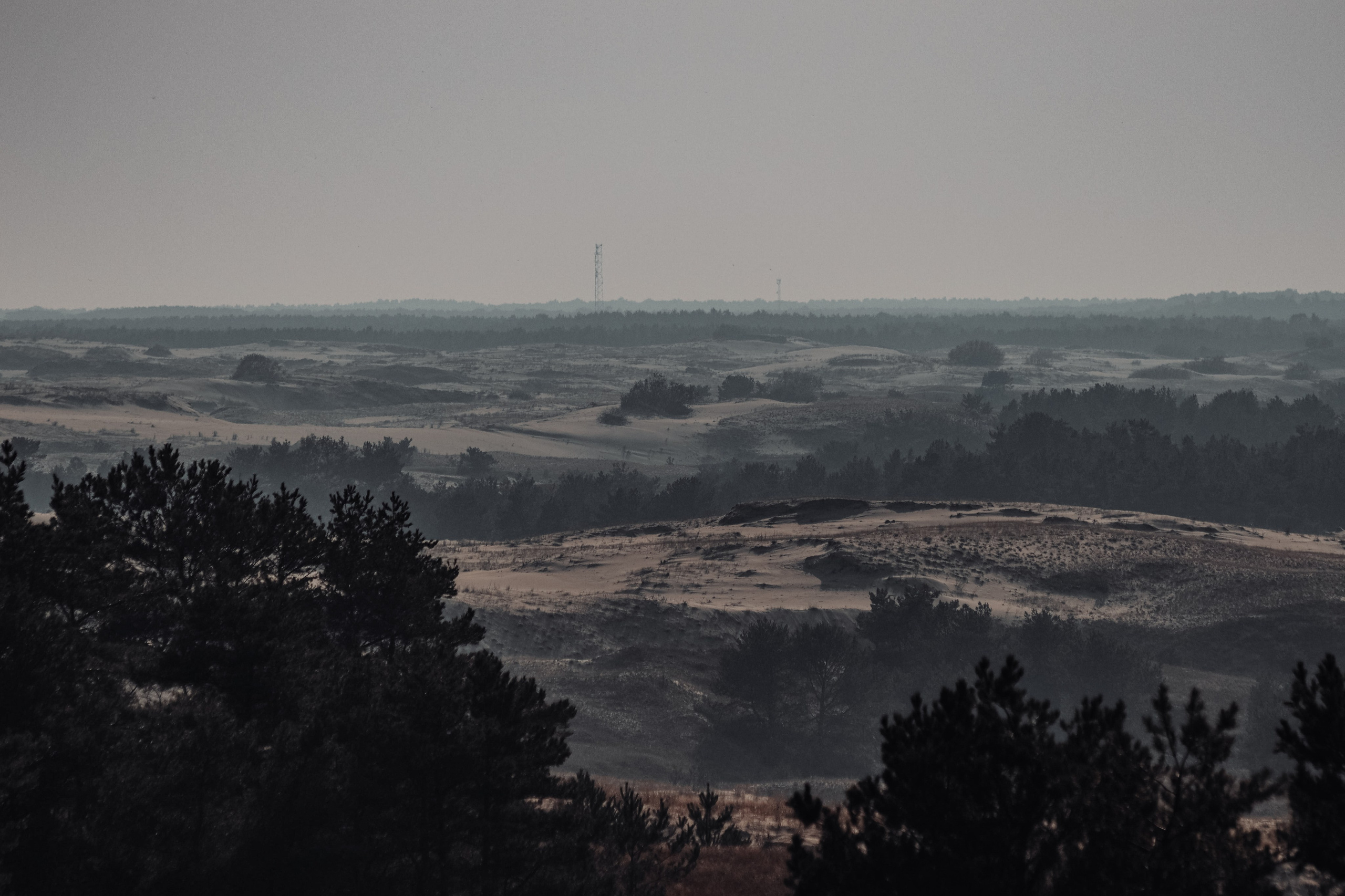 П Е Й З А Ж Н Ы Е. — Digital Noise —