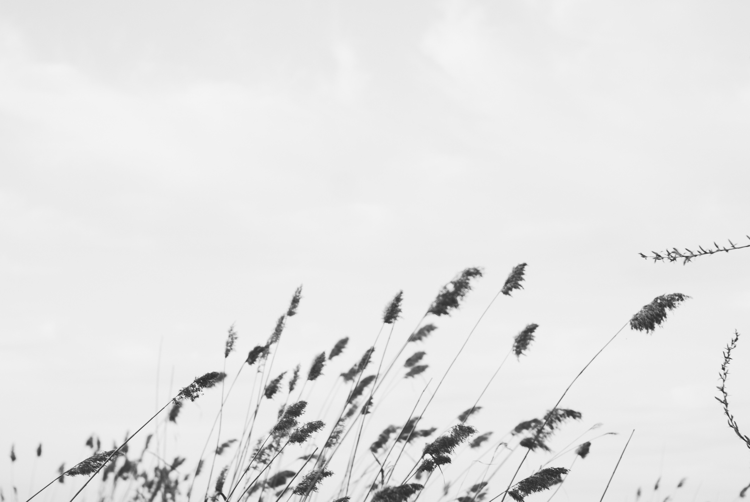 Внутривенные сны (2018-2023)