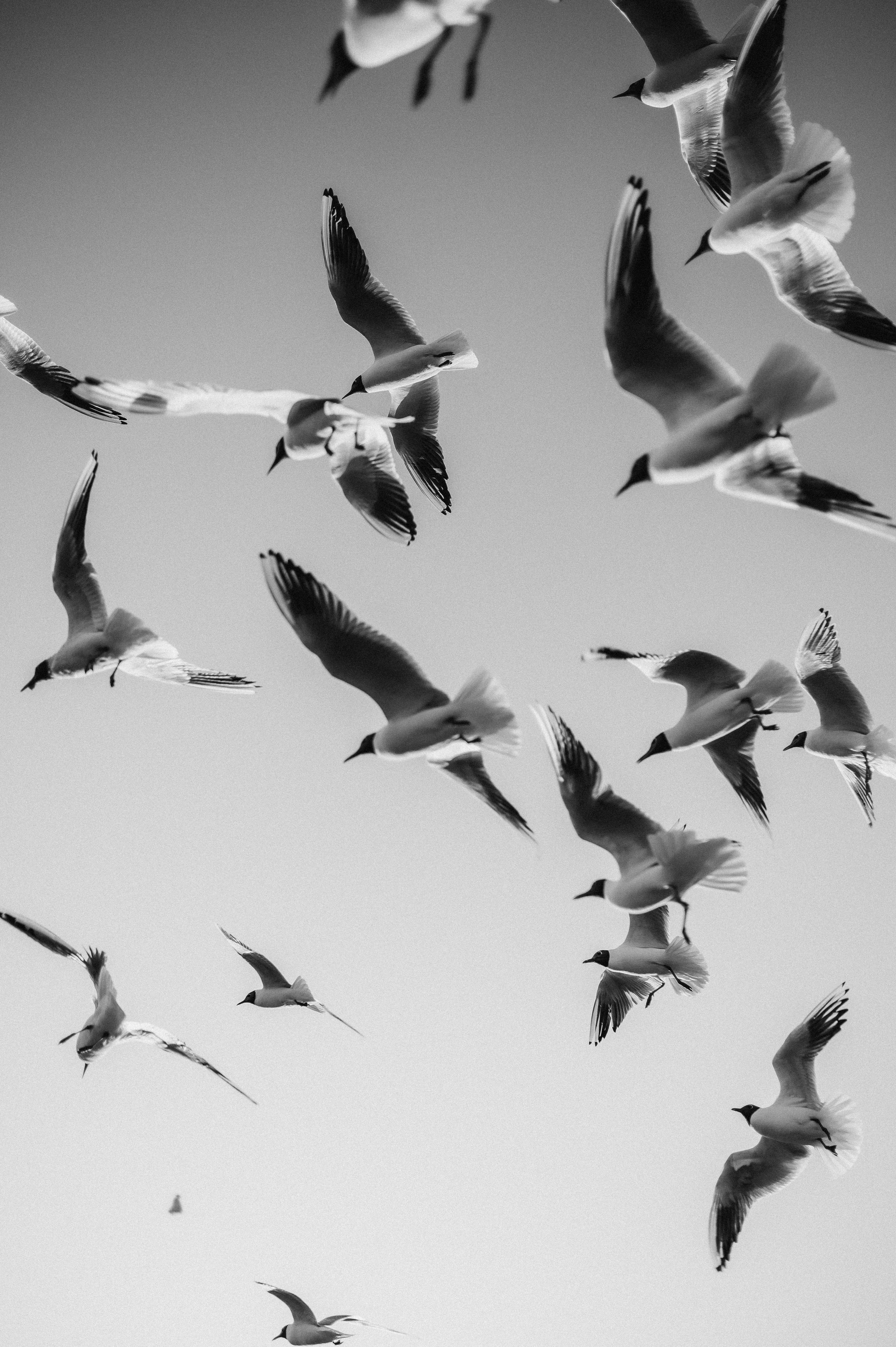 Семейная на заливе. Фотограф ПИТЕР СПБ Надежда Баранова