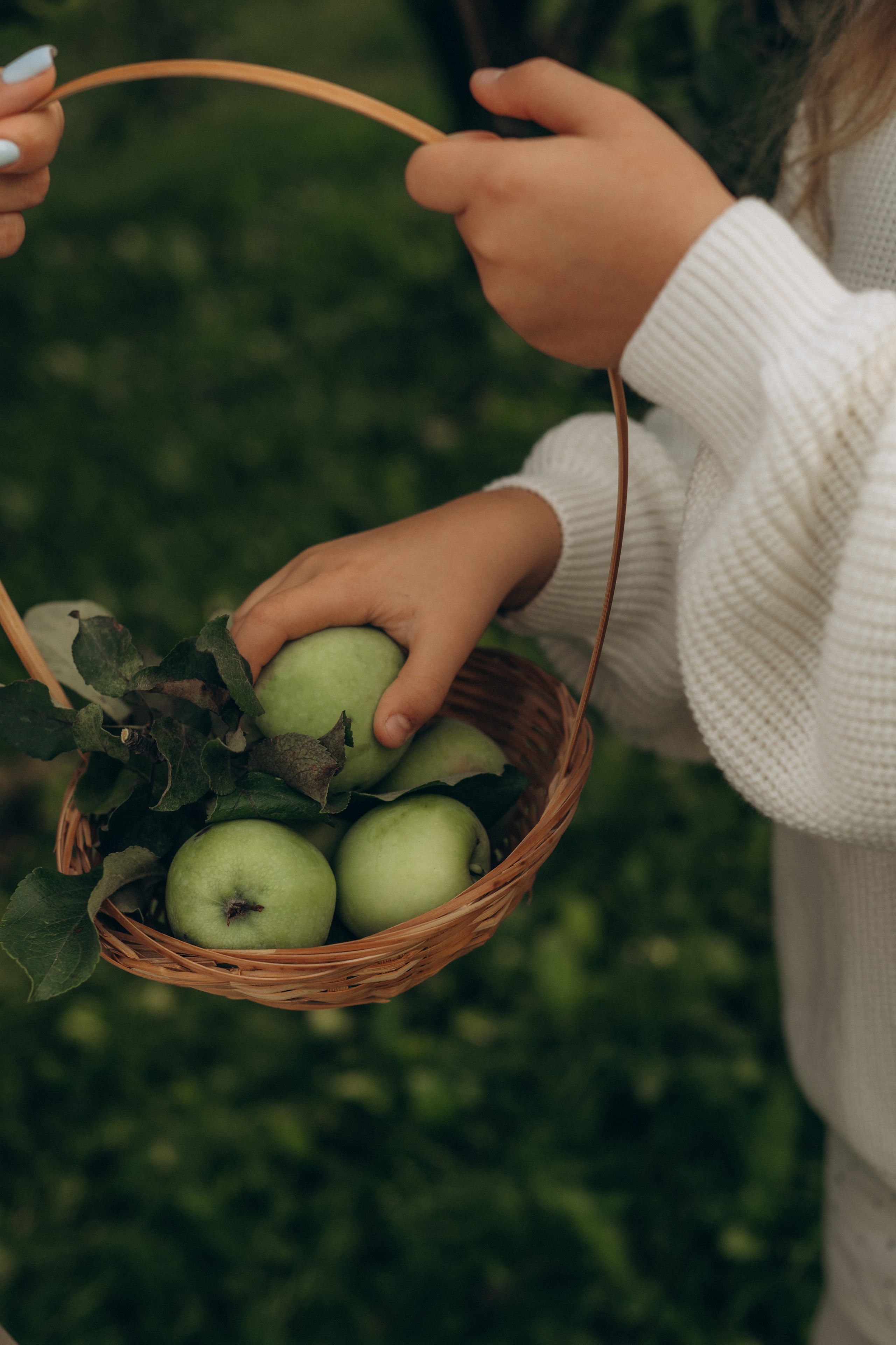 В яблоневых садах. Гаврилова Настя семейный фотограф lifestyle в Москве
