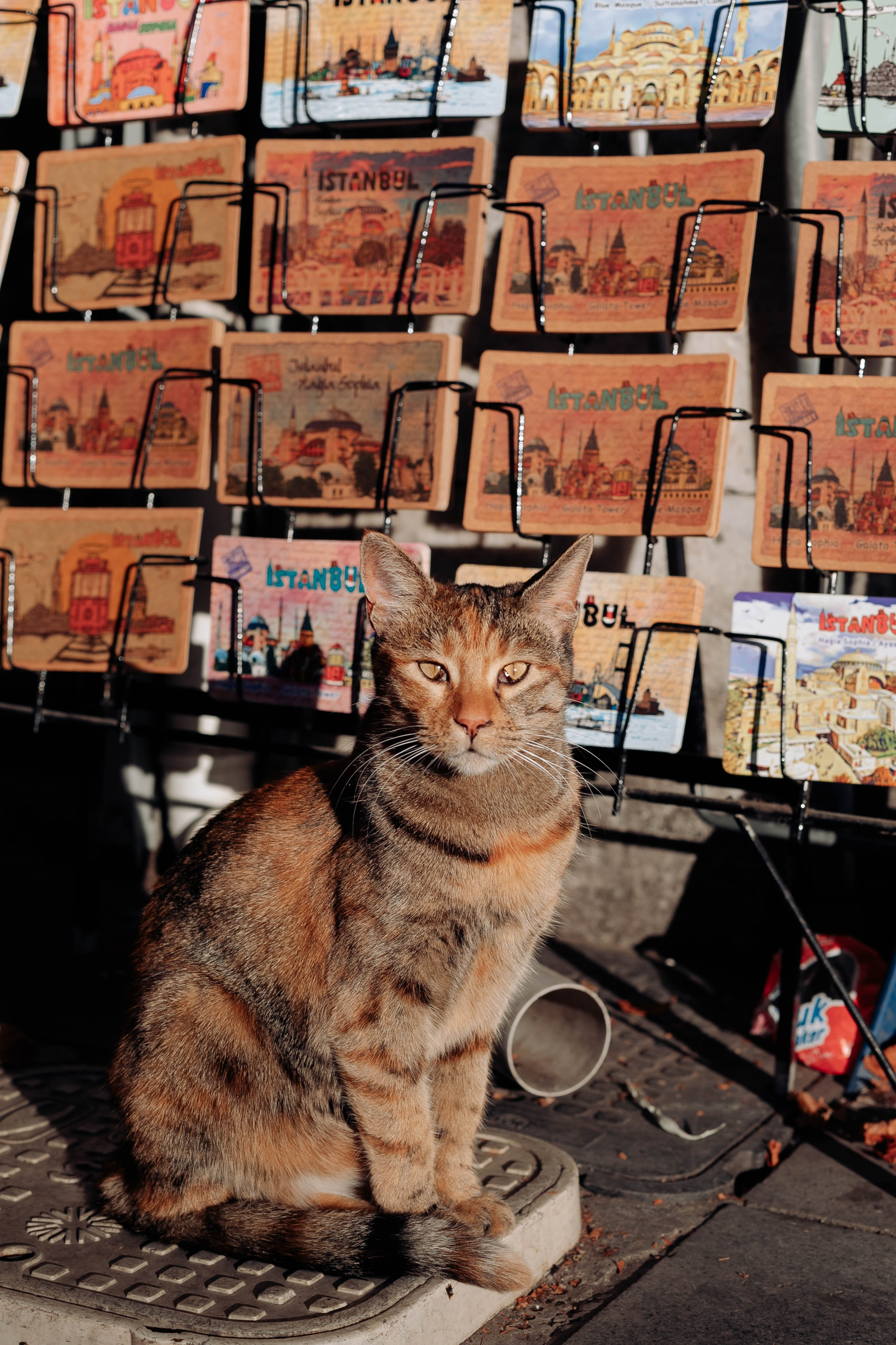 Istanbul. Katerina Spekhova