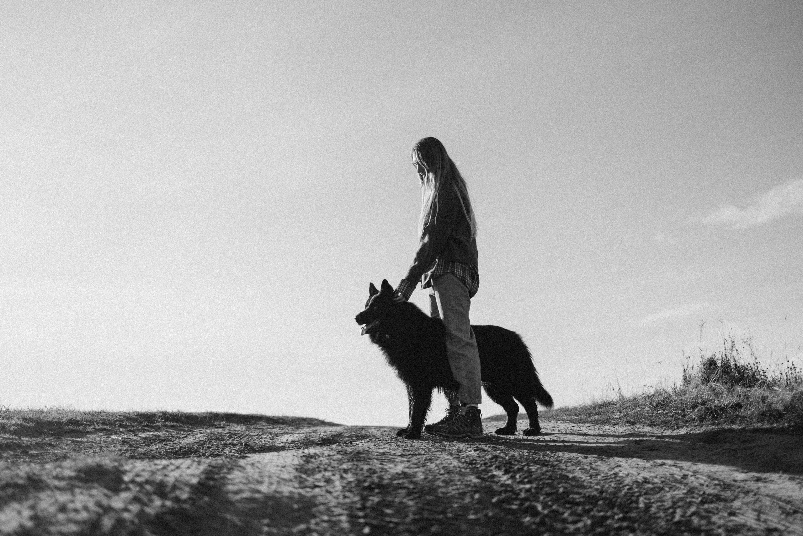 Лора и Джанго. Фотограф — Анималист | Санкт-Петербург