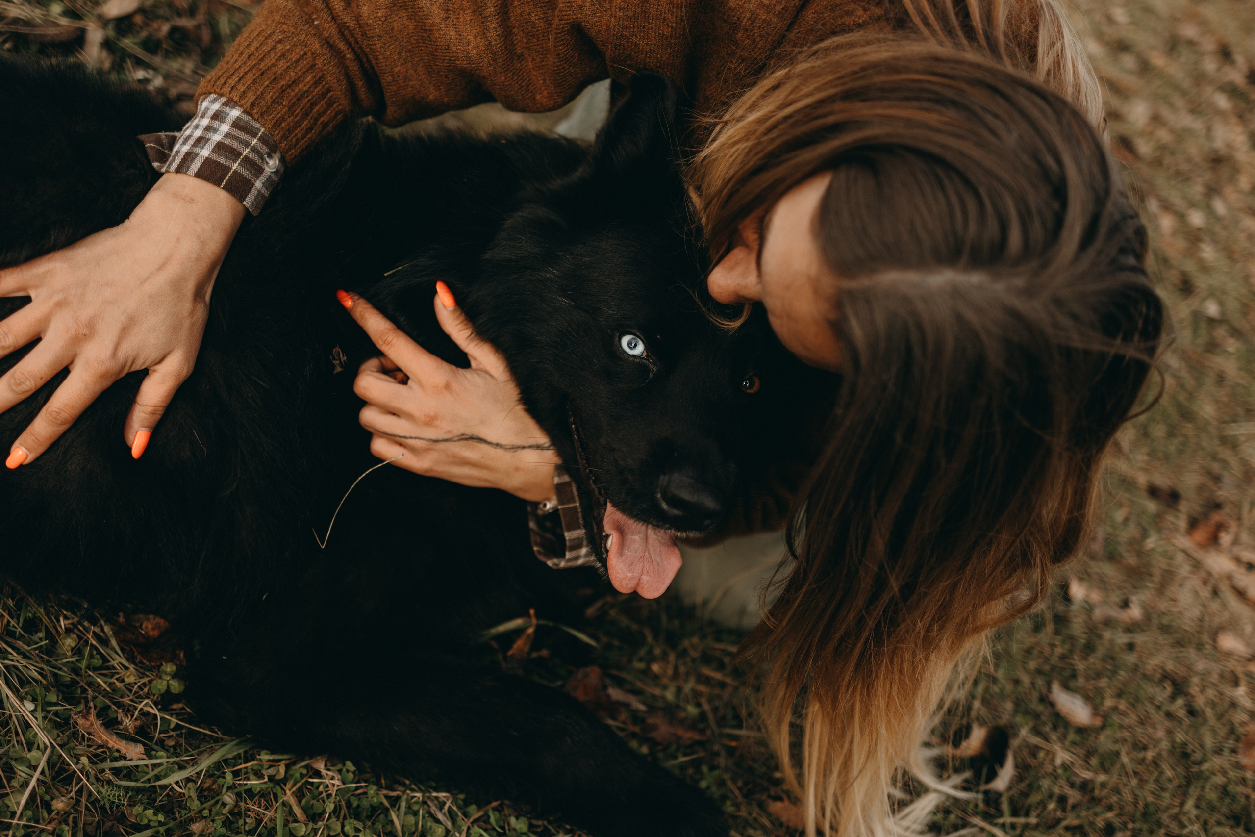 Лора и Джанго. Фотограф — Анималист | Санкт-Петербург