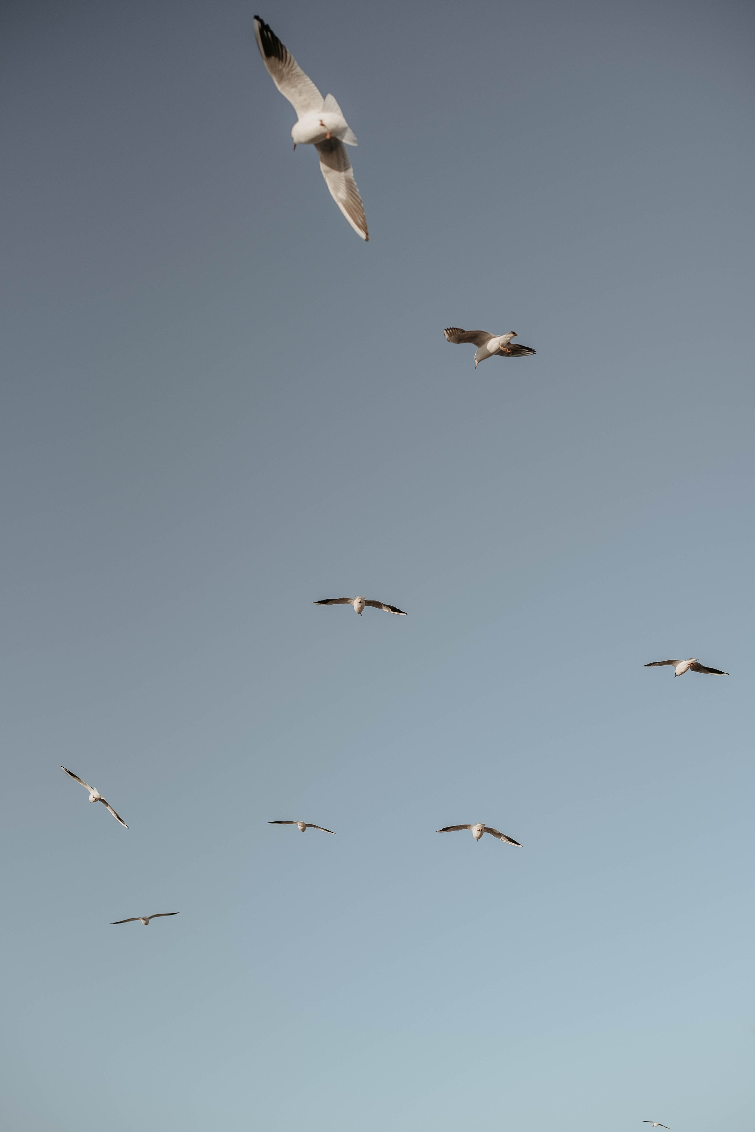 Fotógrafa en Barcelona Margarita Reshetnikova