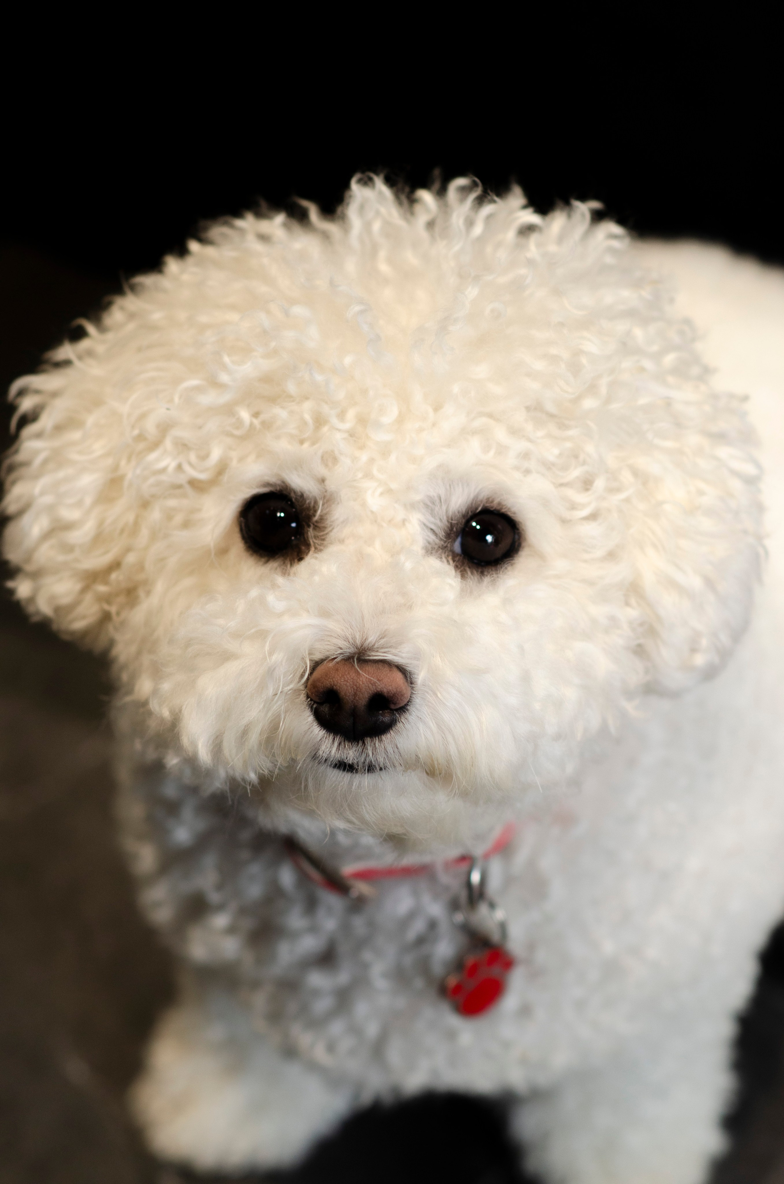 Открытие магазина BraveGuys