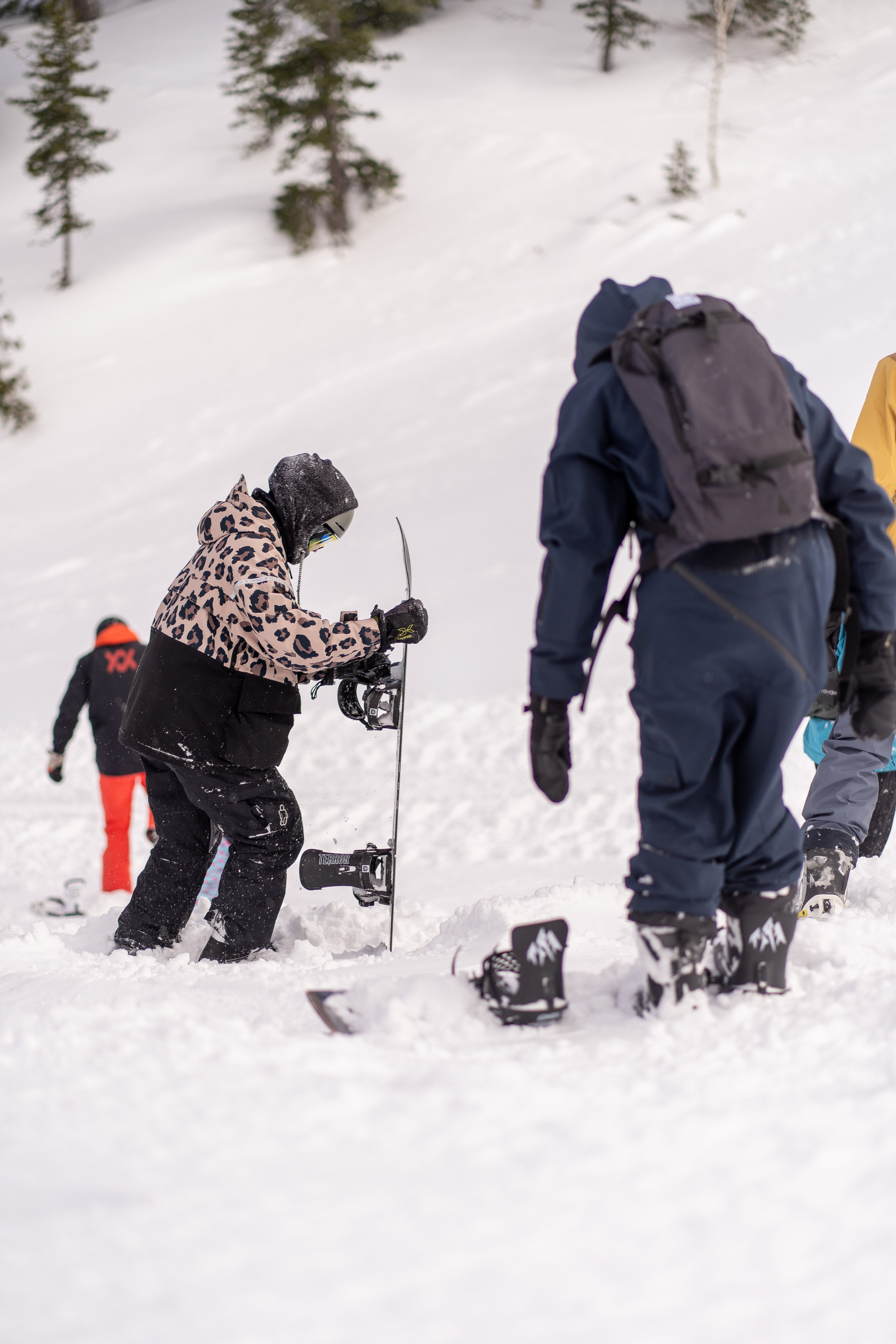Фрирайд. Анастасия Паршукова — фотограф Шерегеш Новосибирск