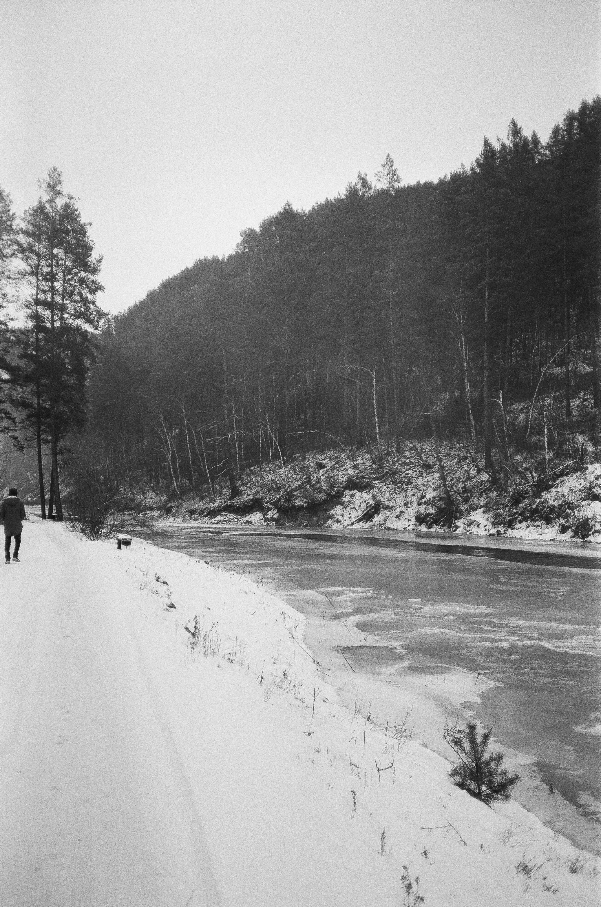 Деревня Берендеевка и кафе Лампа в верхах Алтая. Горы и поля Чемала. Фотограф-документалист Мария Осокина