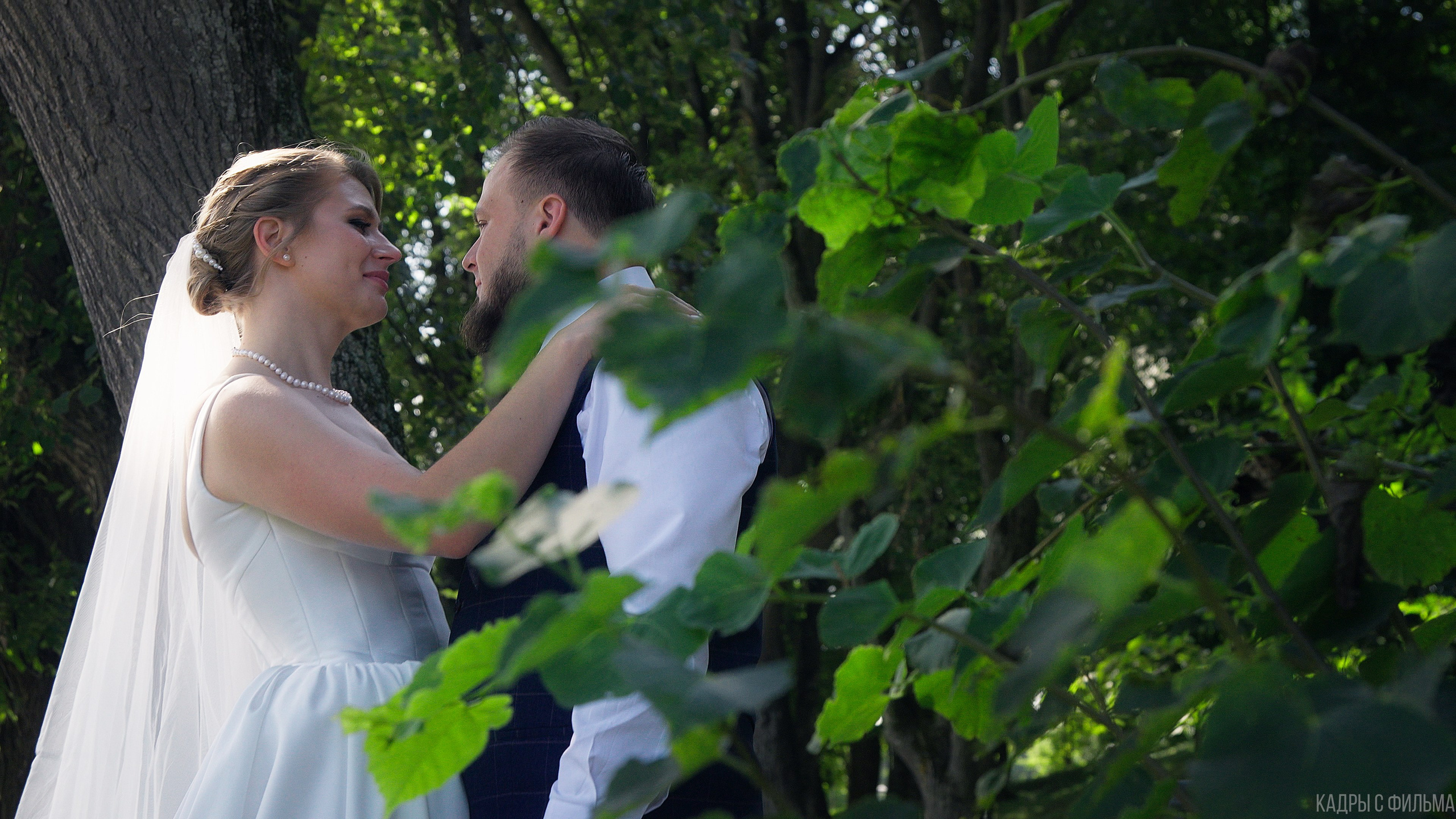 Видеограф Сергей Романов