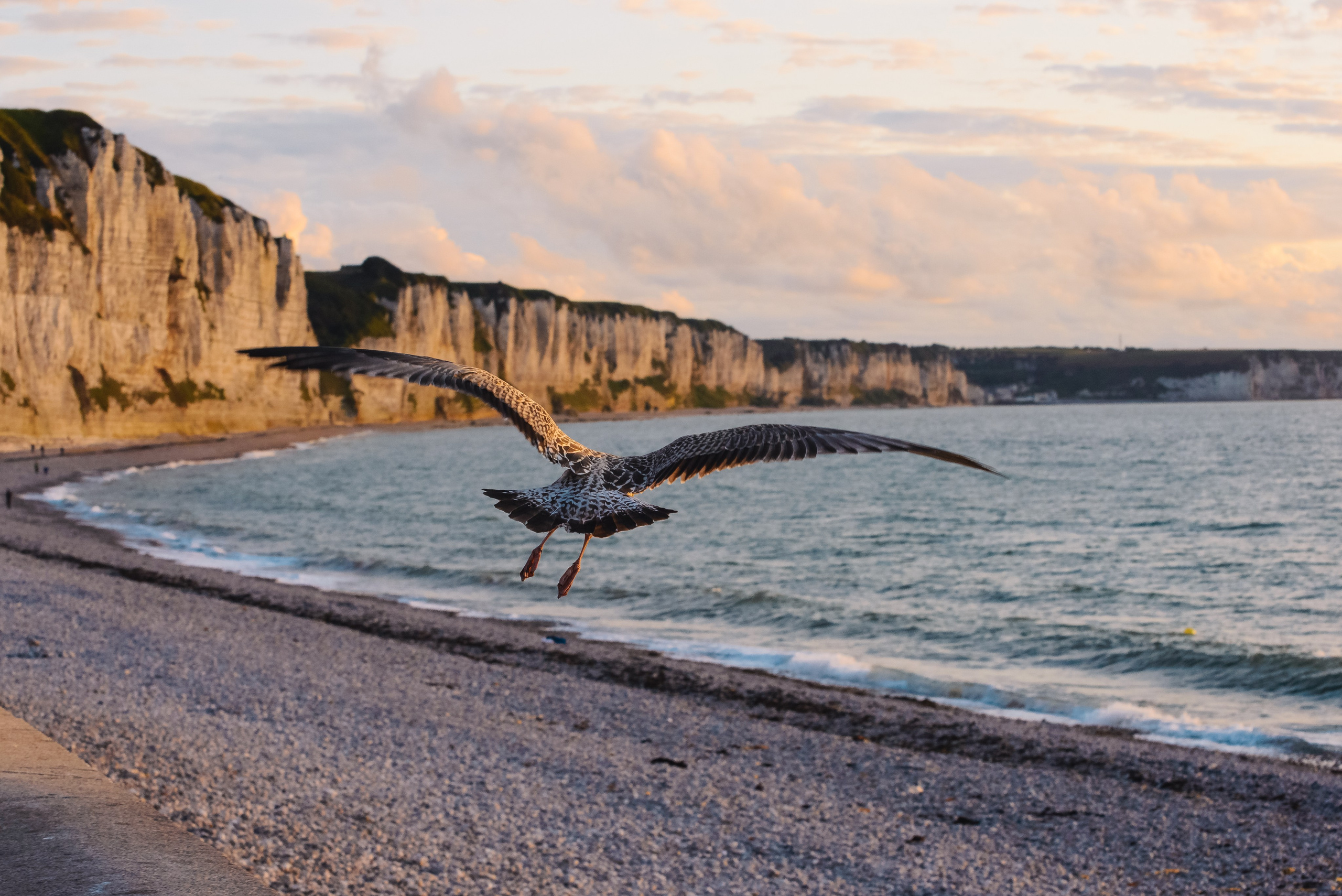 Франция. Фотографии Дмитрия Захаренко