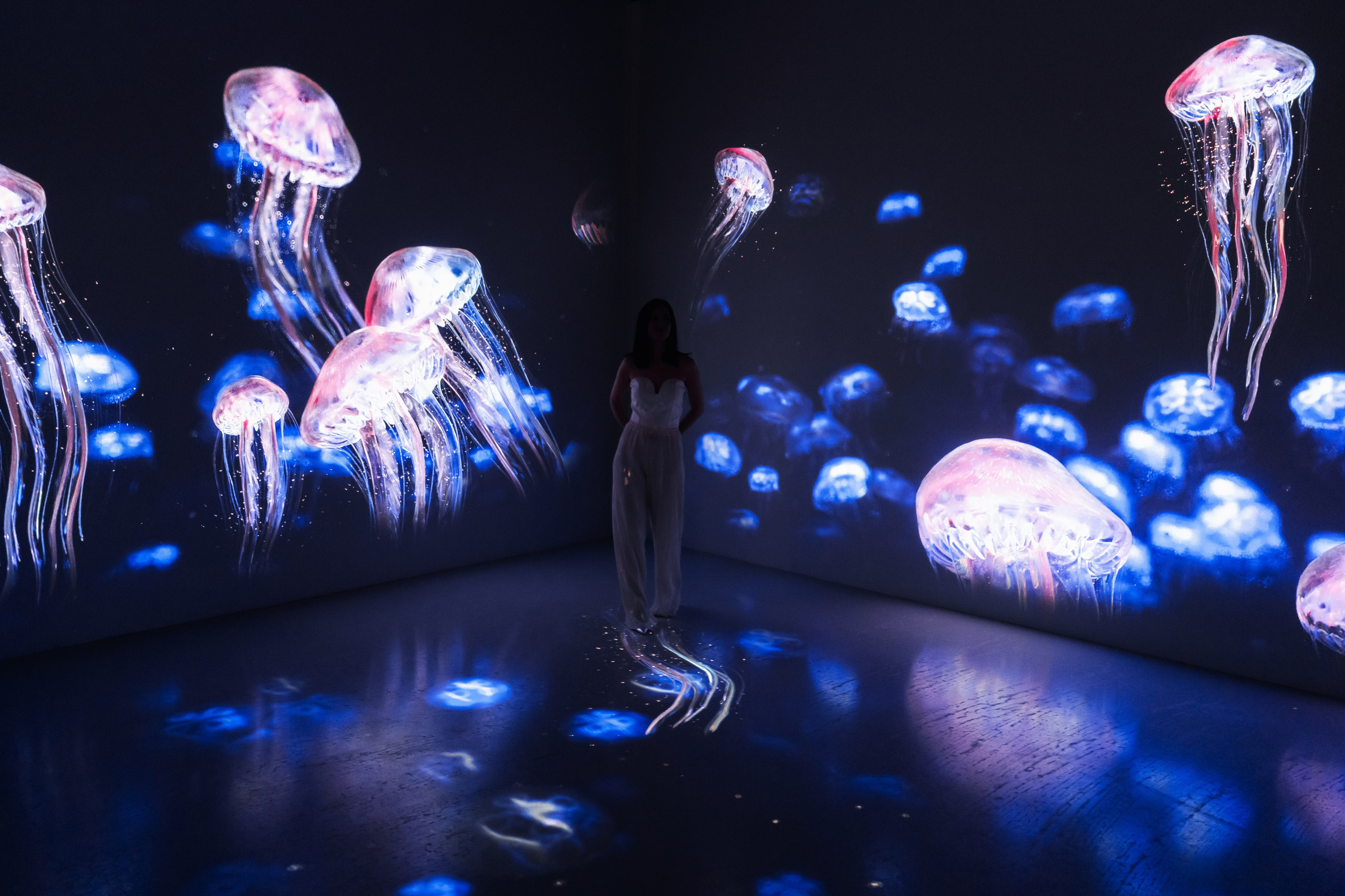 VI Ocean, Tutankhamun, SILA SVETA. @tomrus: Рустам Шагиморданов — фотограф