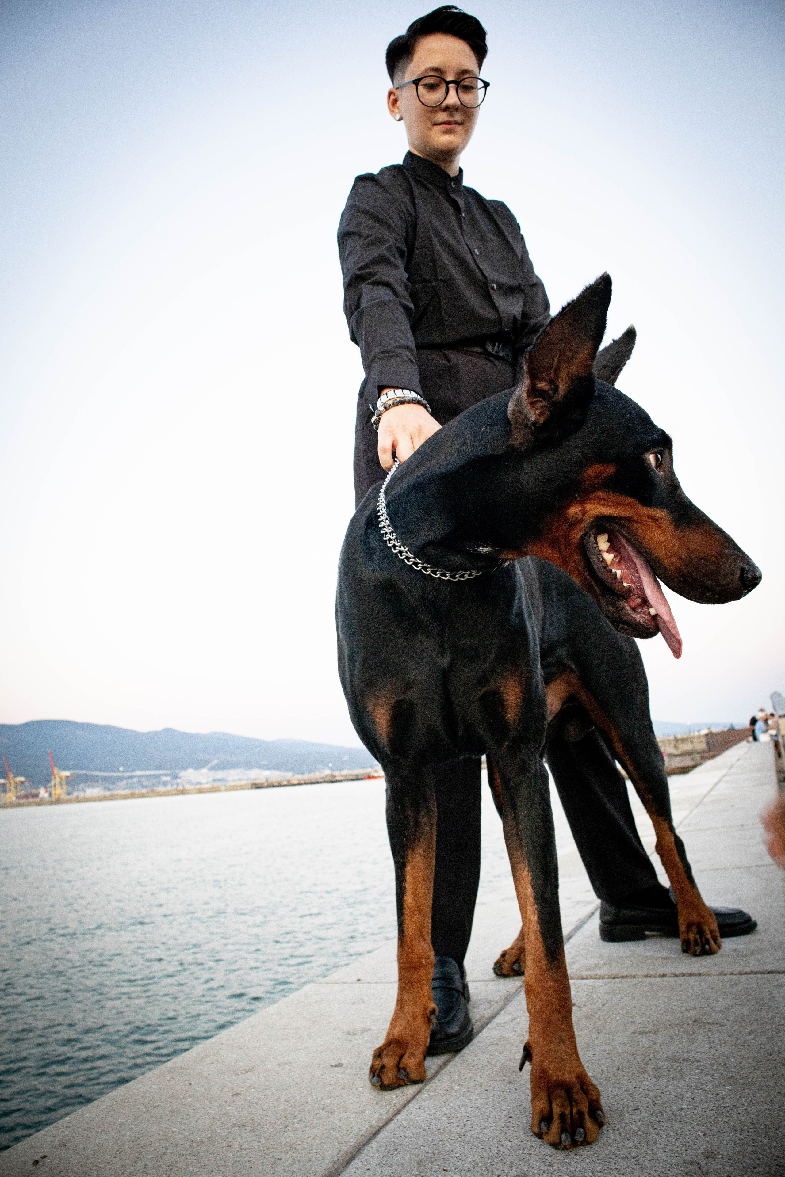 «Жизнь в ритме шага: пара с доберманом». Уличный фотограф Города N