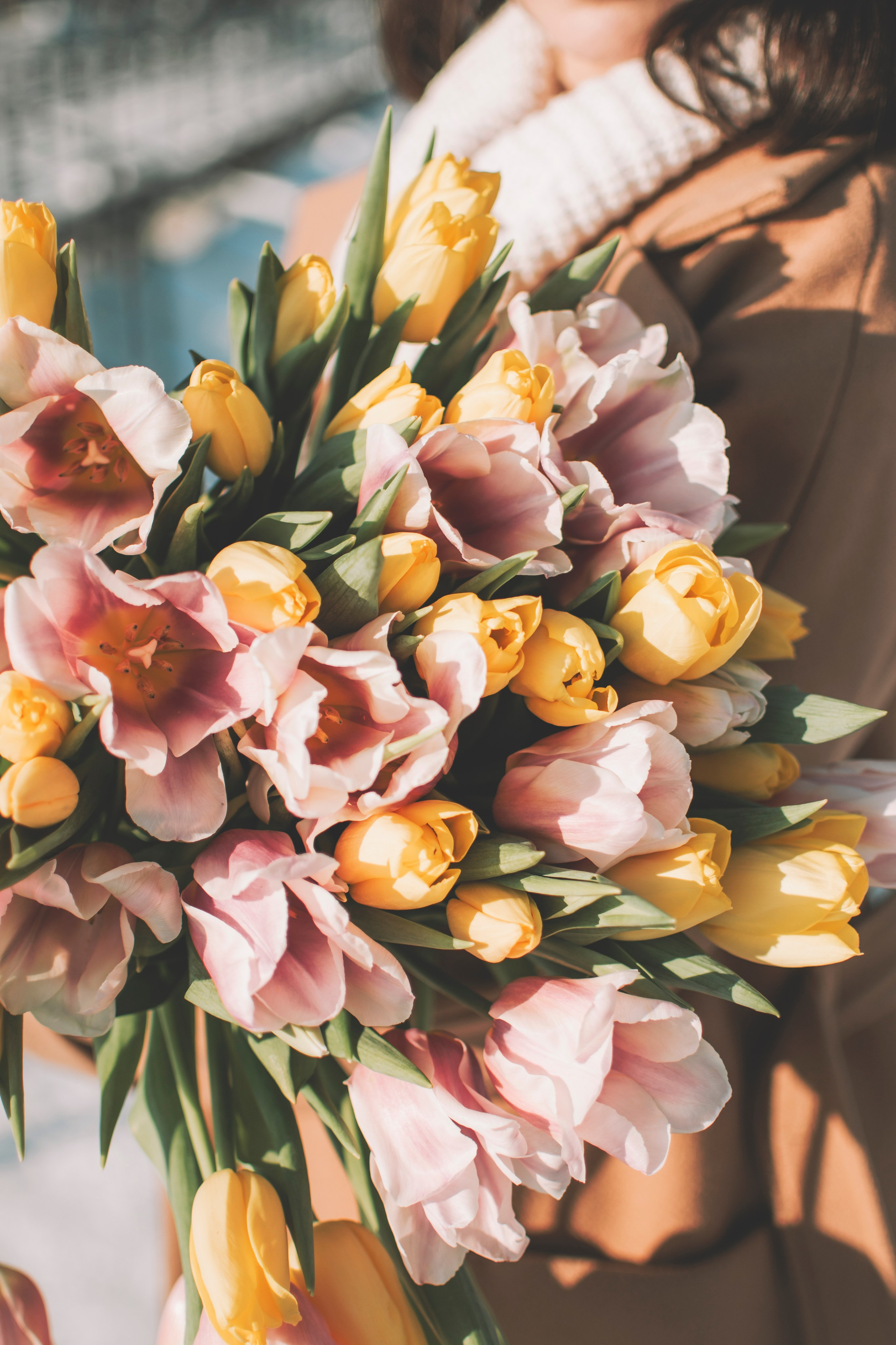Анастасия. Семейный и свадебный фотограф Губкинский и Ставрополь