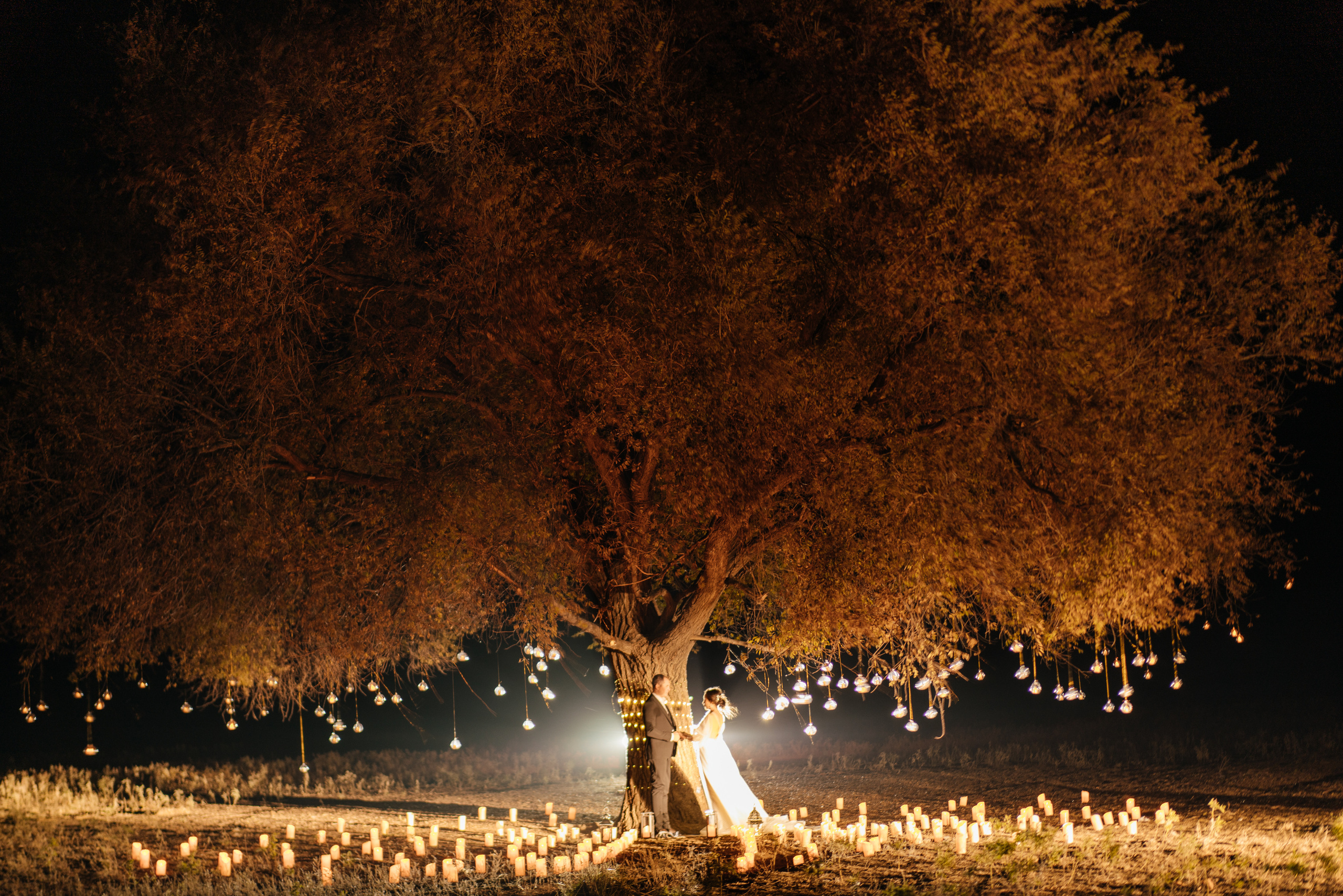 свечи на дереве невеста с женихом