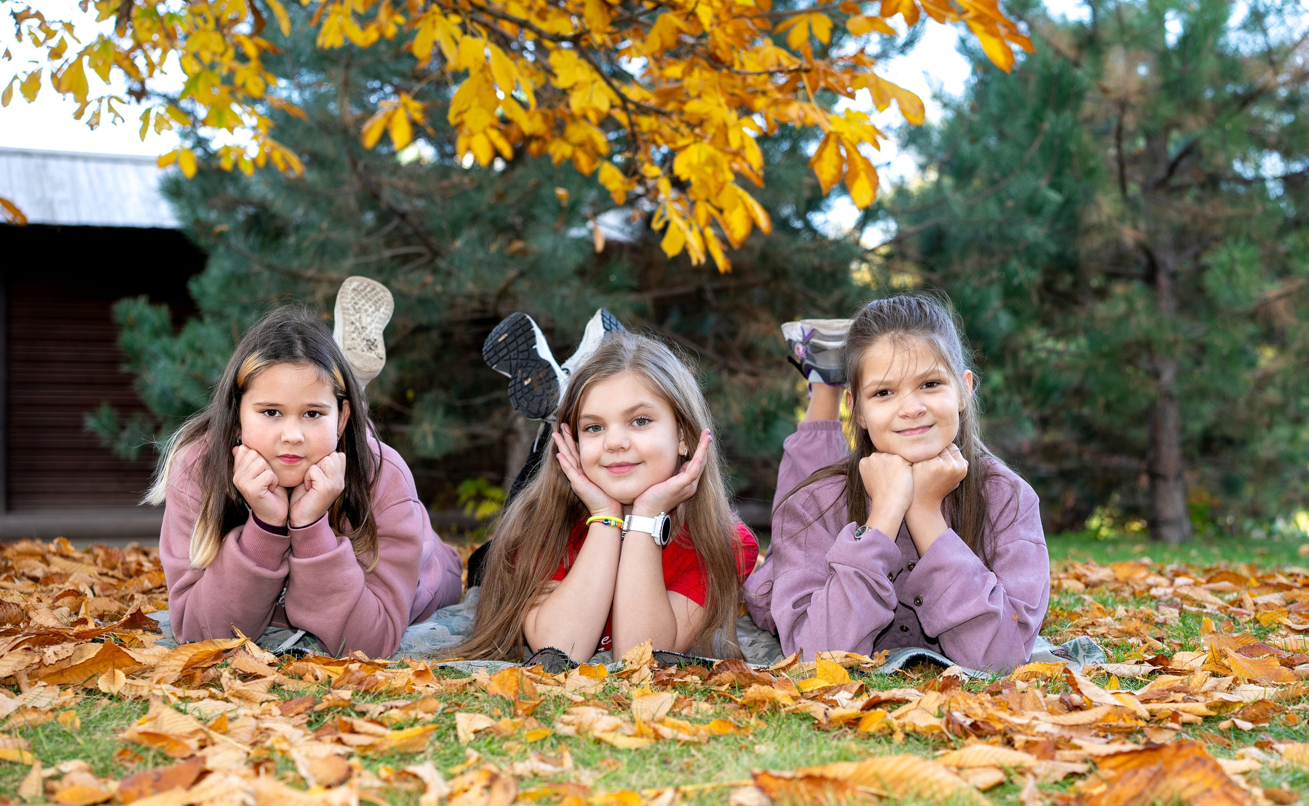 4 класс. Фотографы в г. Астрахань Сергей и Елена Бовтуновы