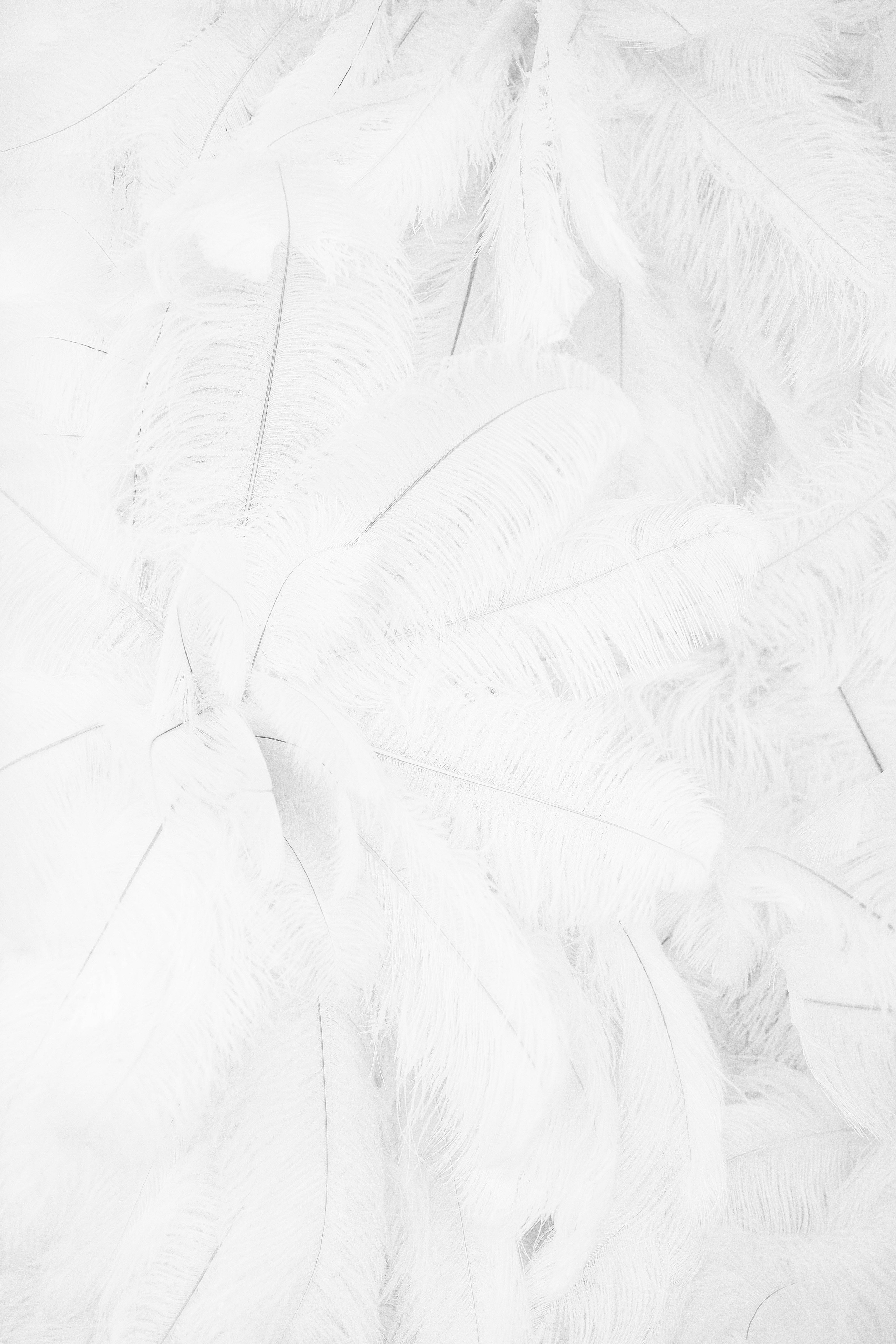 Егор и Валерия. Свадебный фотограф Ростов-на-Дону Виолетта veslers.ph