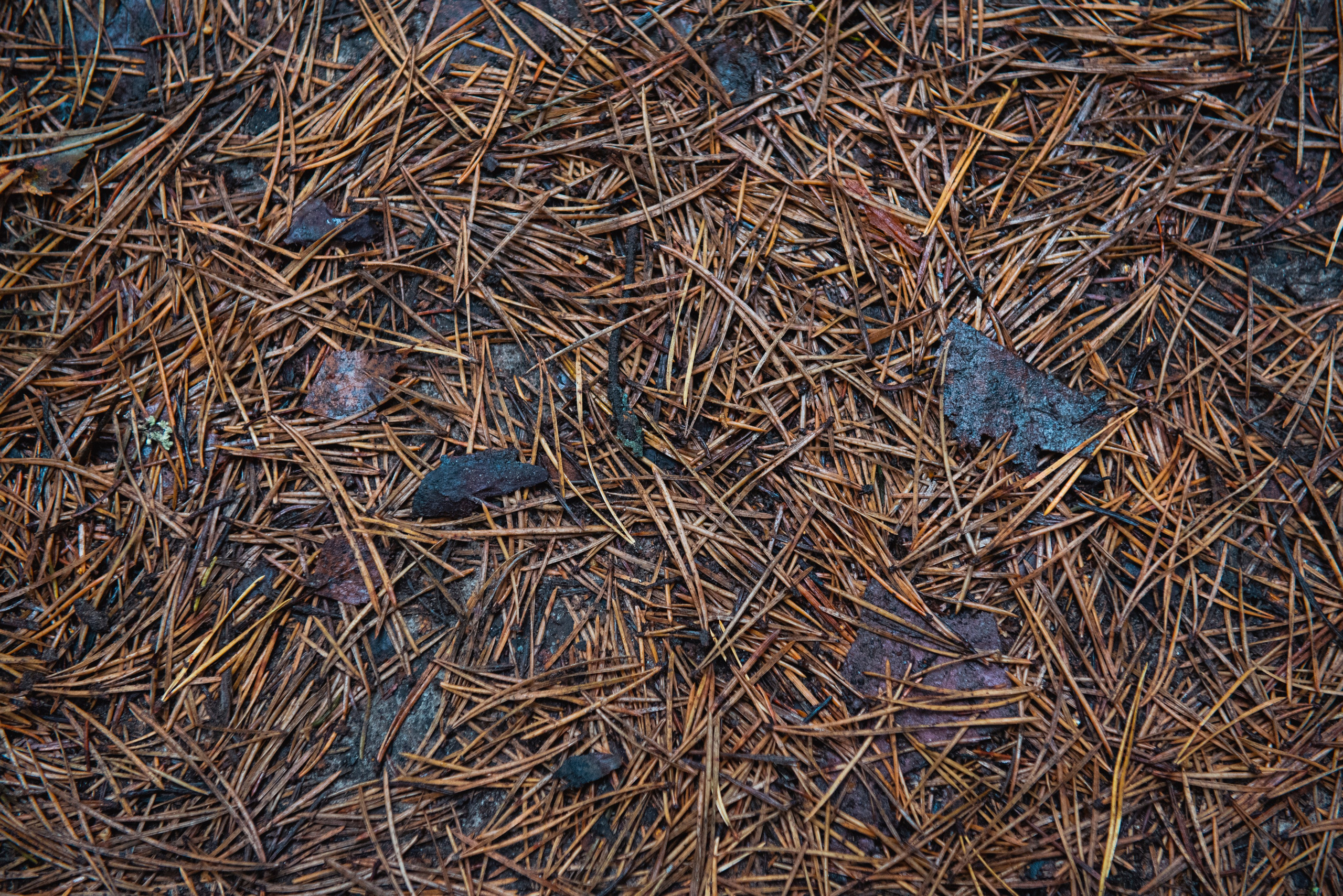 Осень. Портретный и архитектурный фотограф в Москве и Санкт-Петербурге