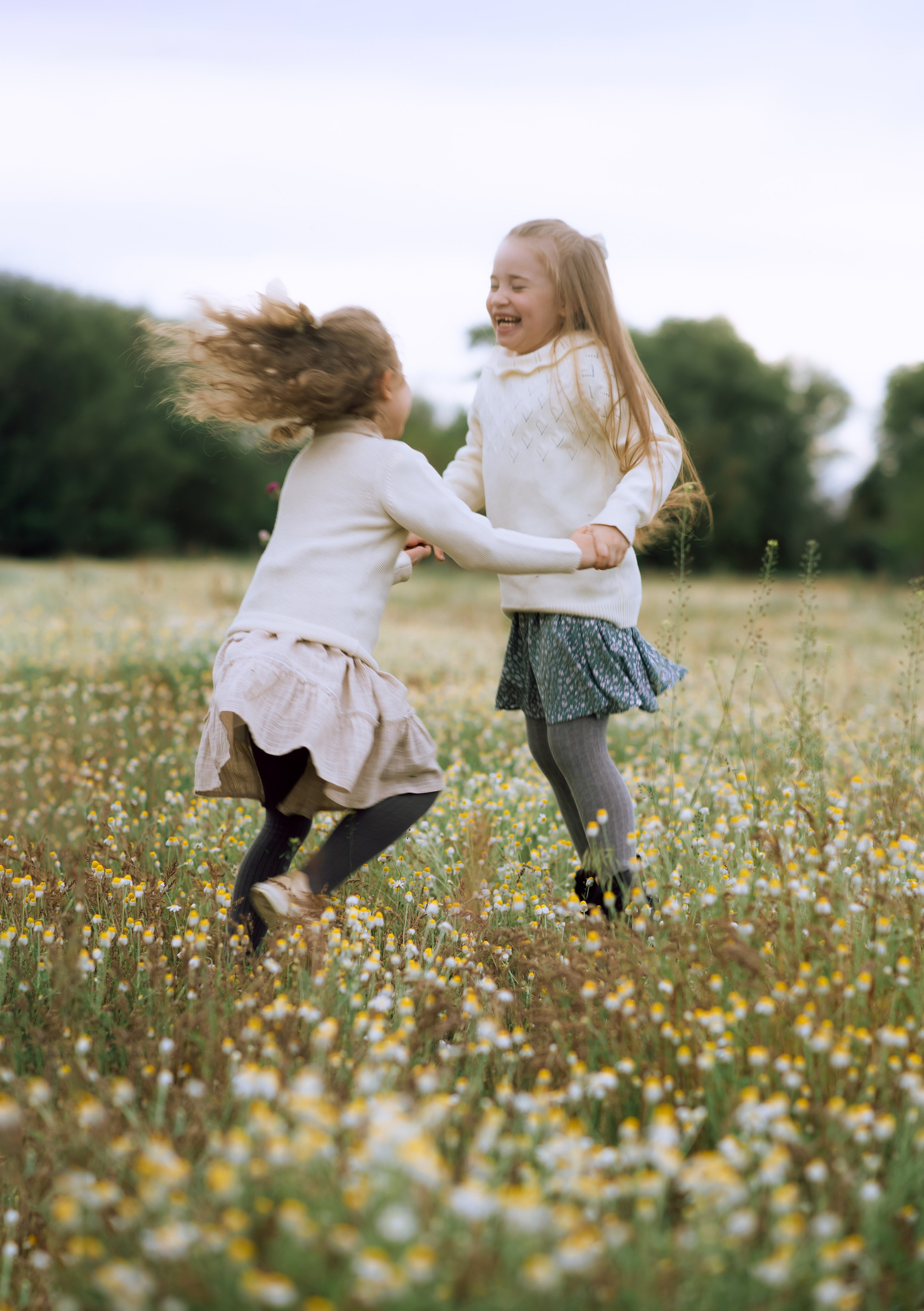 Ромашковое поле, полное любви. Главная