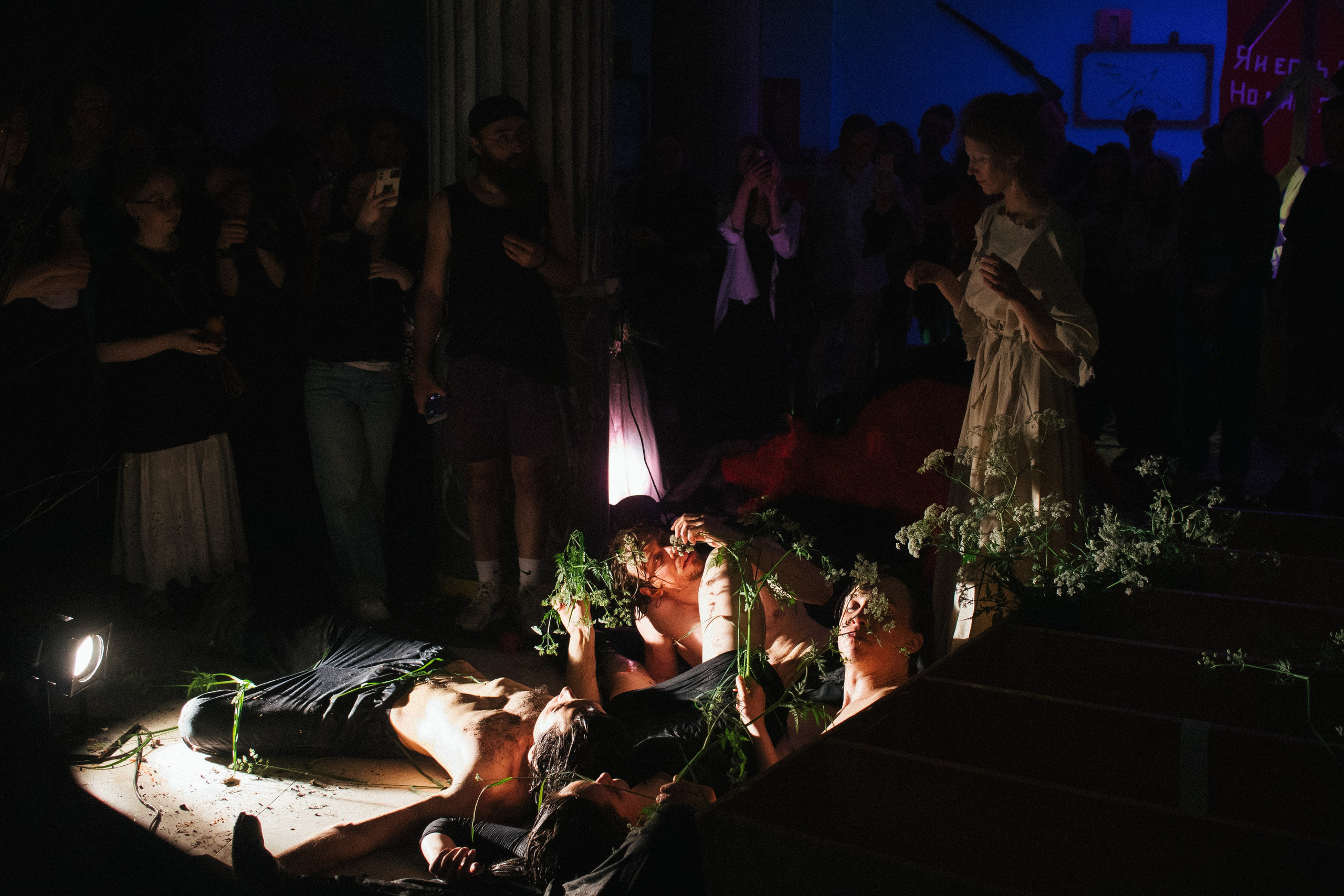 Фестивали, выставки. Коммерческий фотограф в Санкт-Петербурге (СПб) Екатерина Панчёха, Панчёшка