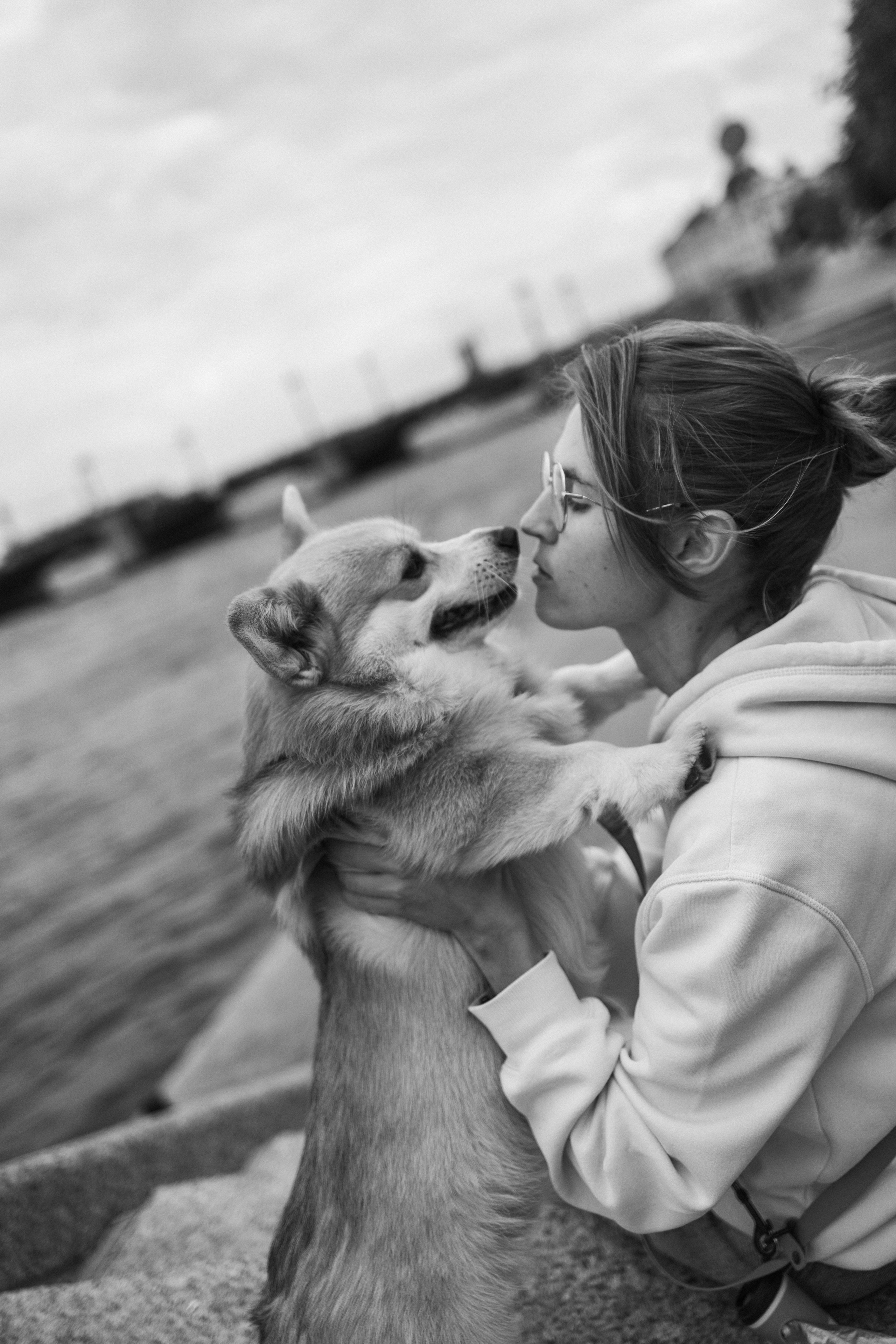 Лиза и Бакс. Фотограф — Анималист | Санкт-Петербург