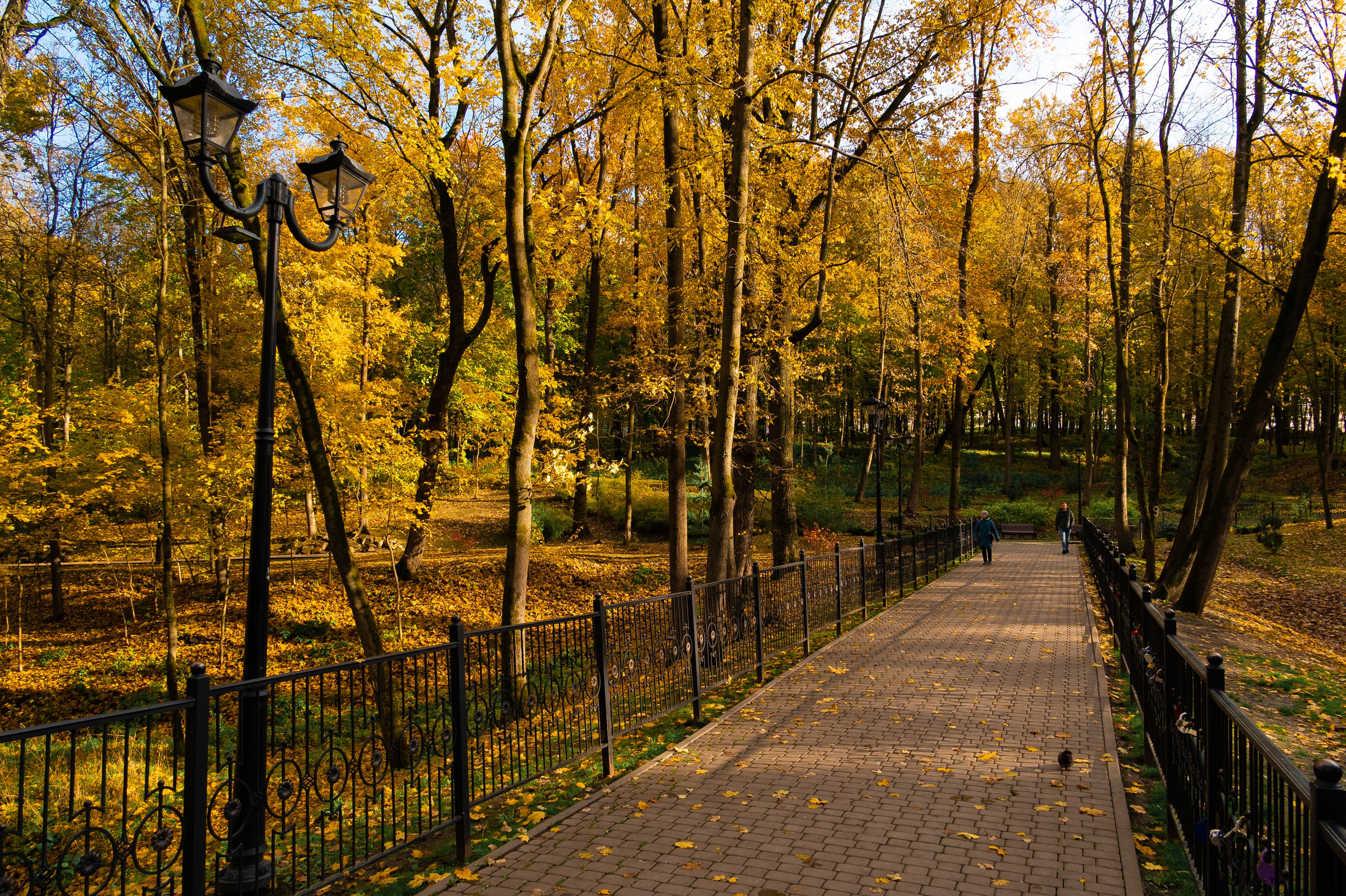 Платоновский парк. Фотограф и видеооператор в Туле | Даниил Рыбак