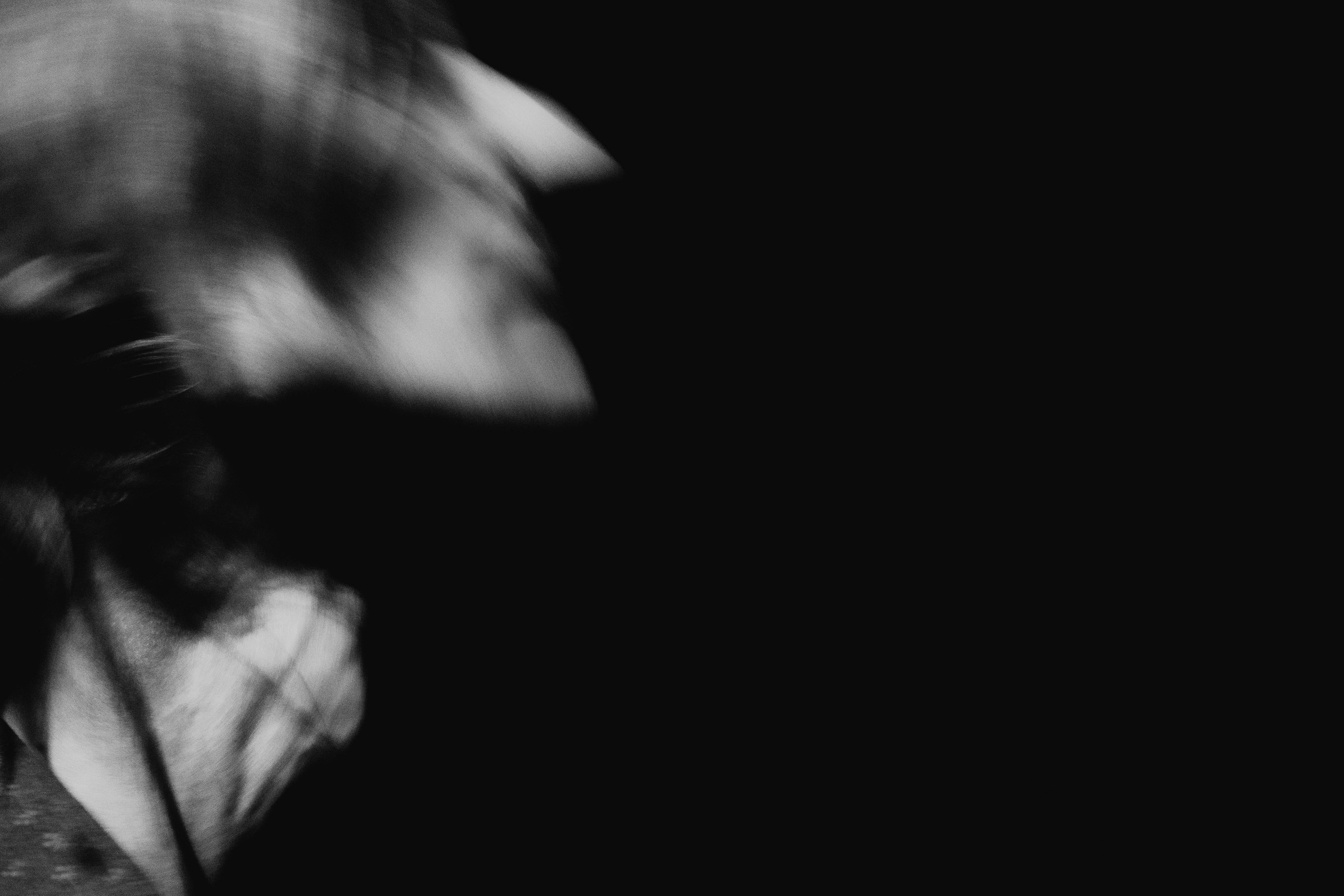 Лензвук. Фотограф / Оператор Константин Козлов