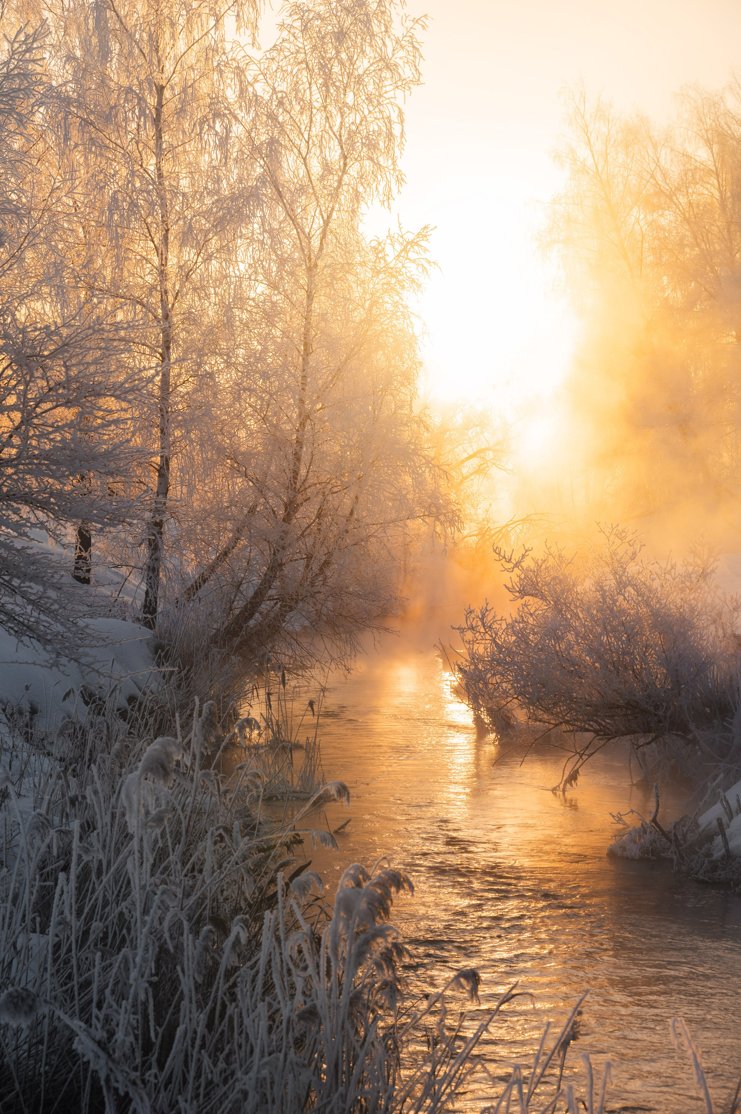 Река Дёготня. Фотограф и видеооператор в Туле | Даниил Рыбак