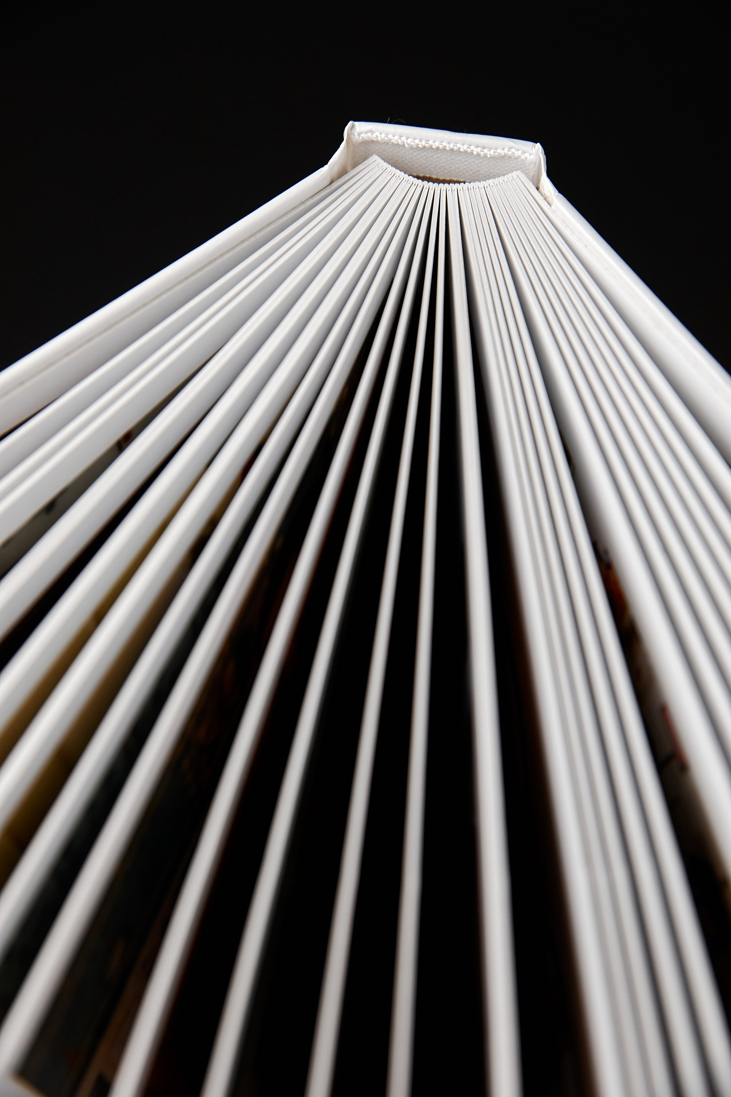 Альбом Максимальный. Выпускные альбомы Москва и МО