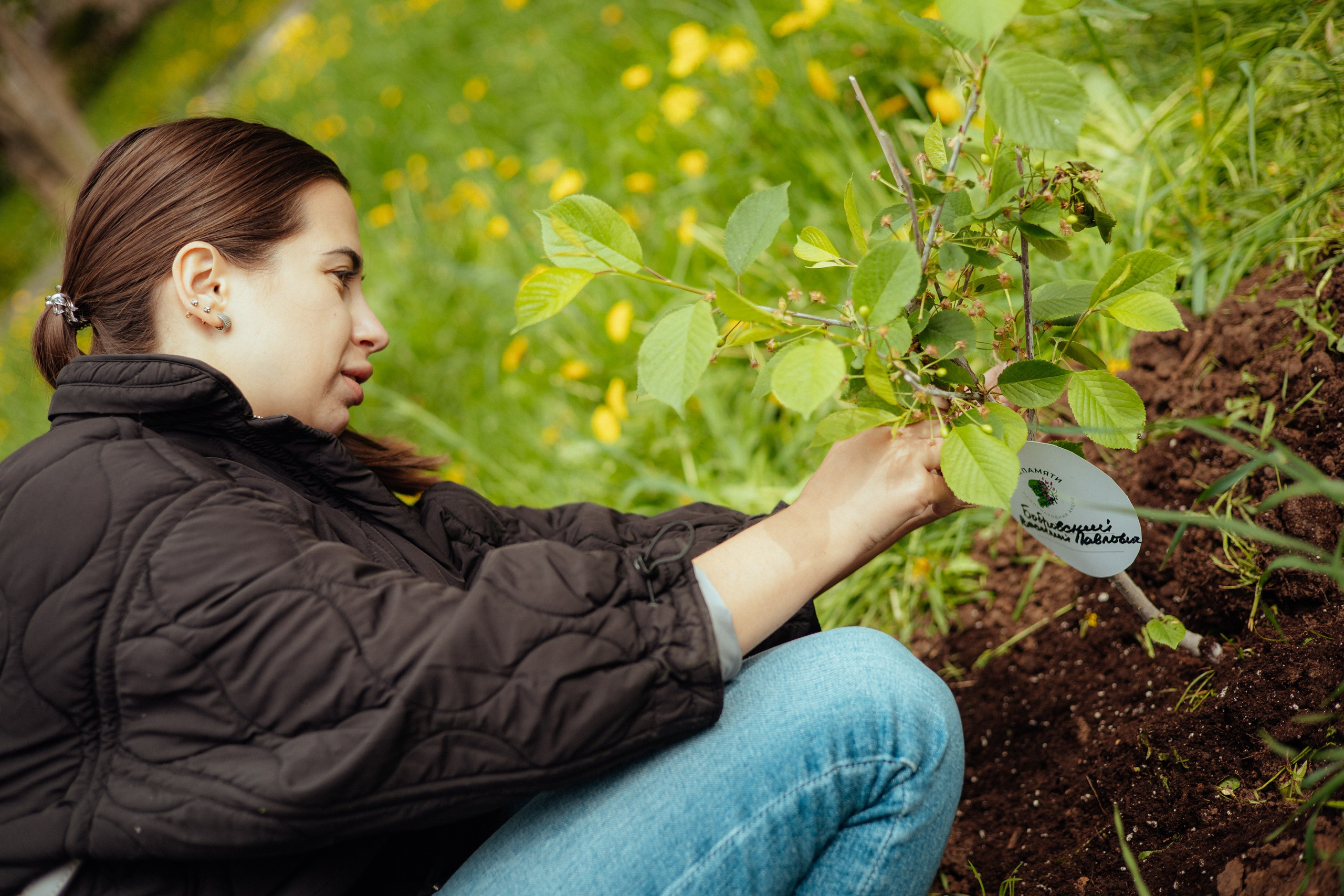 Сад памяти | волонтеры победы