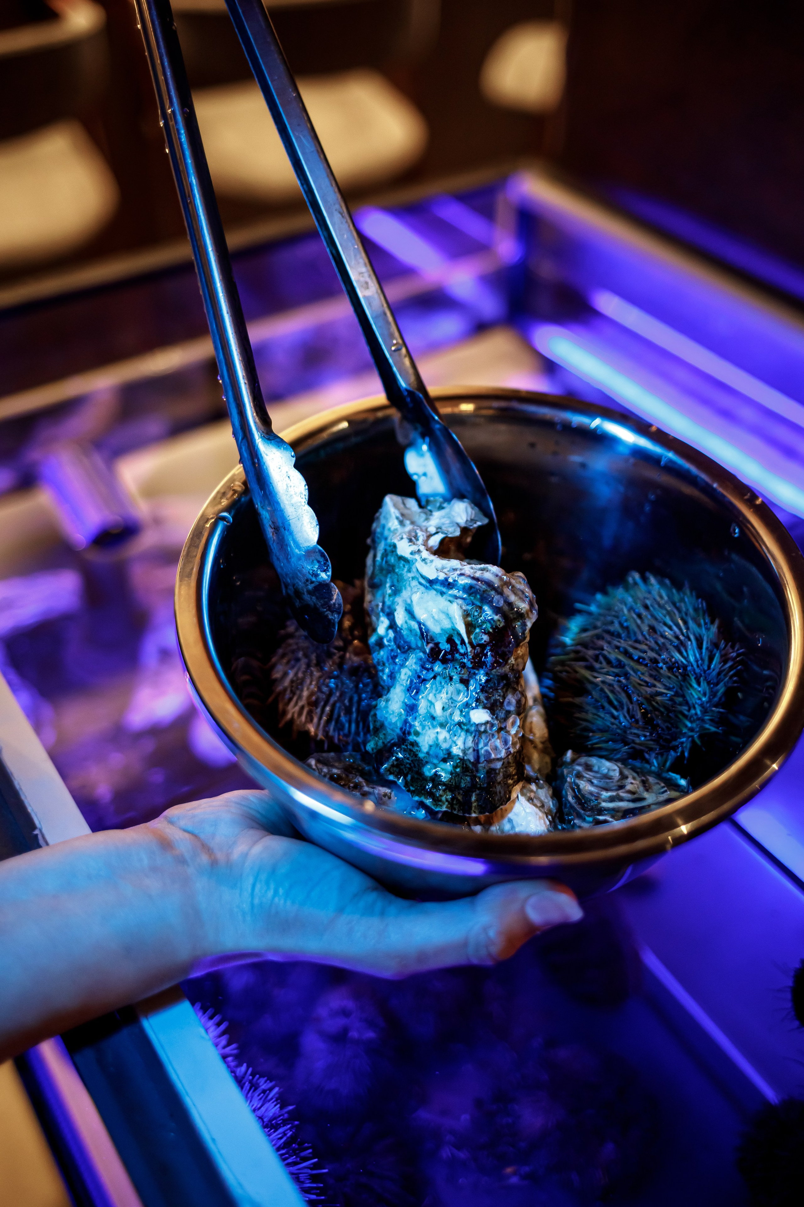 Ресторации. Фотограф в Москве Базанова Дарья