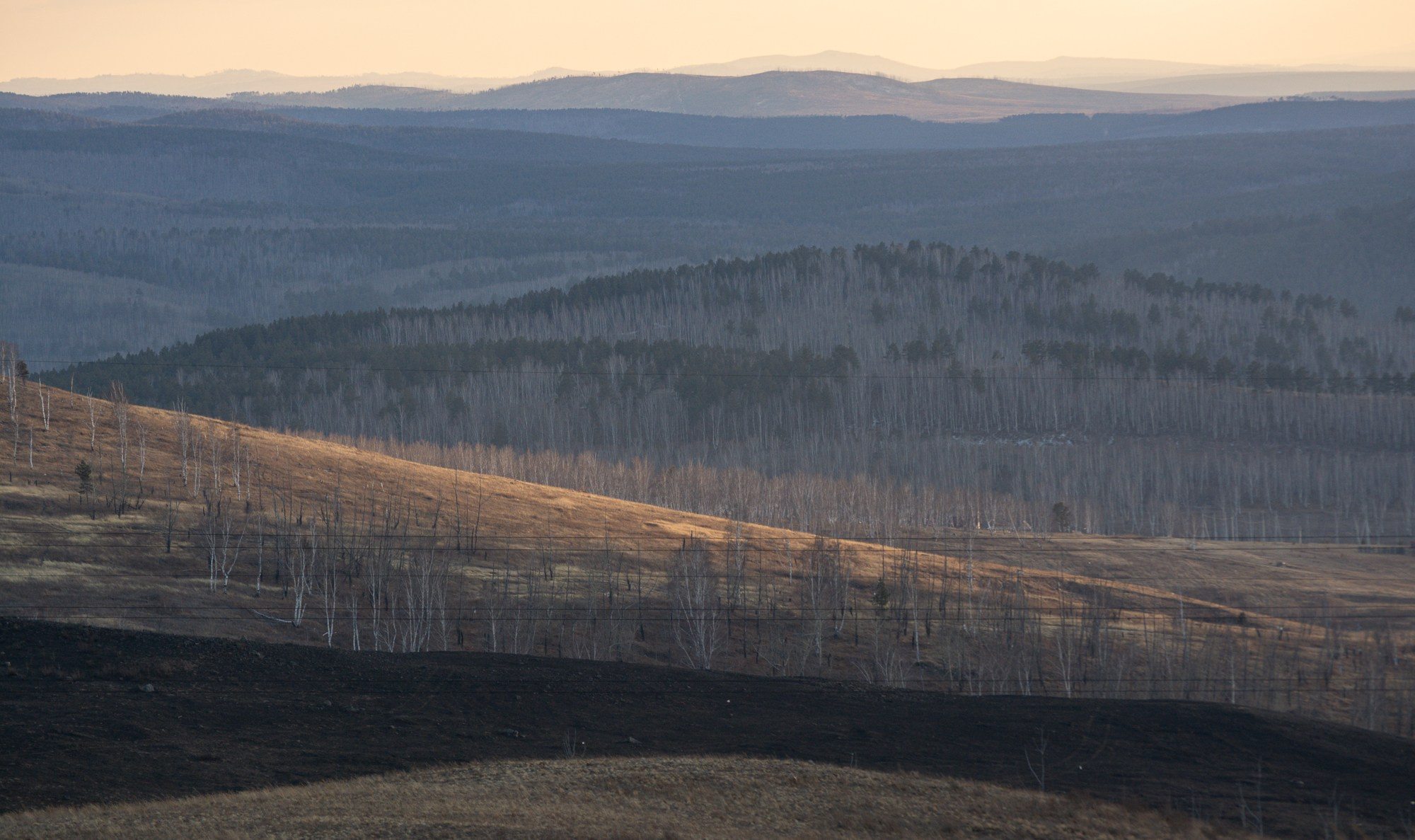 Разное. Репортажный фотограф г. Чита