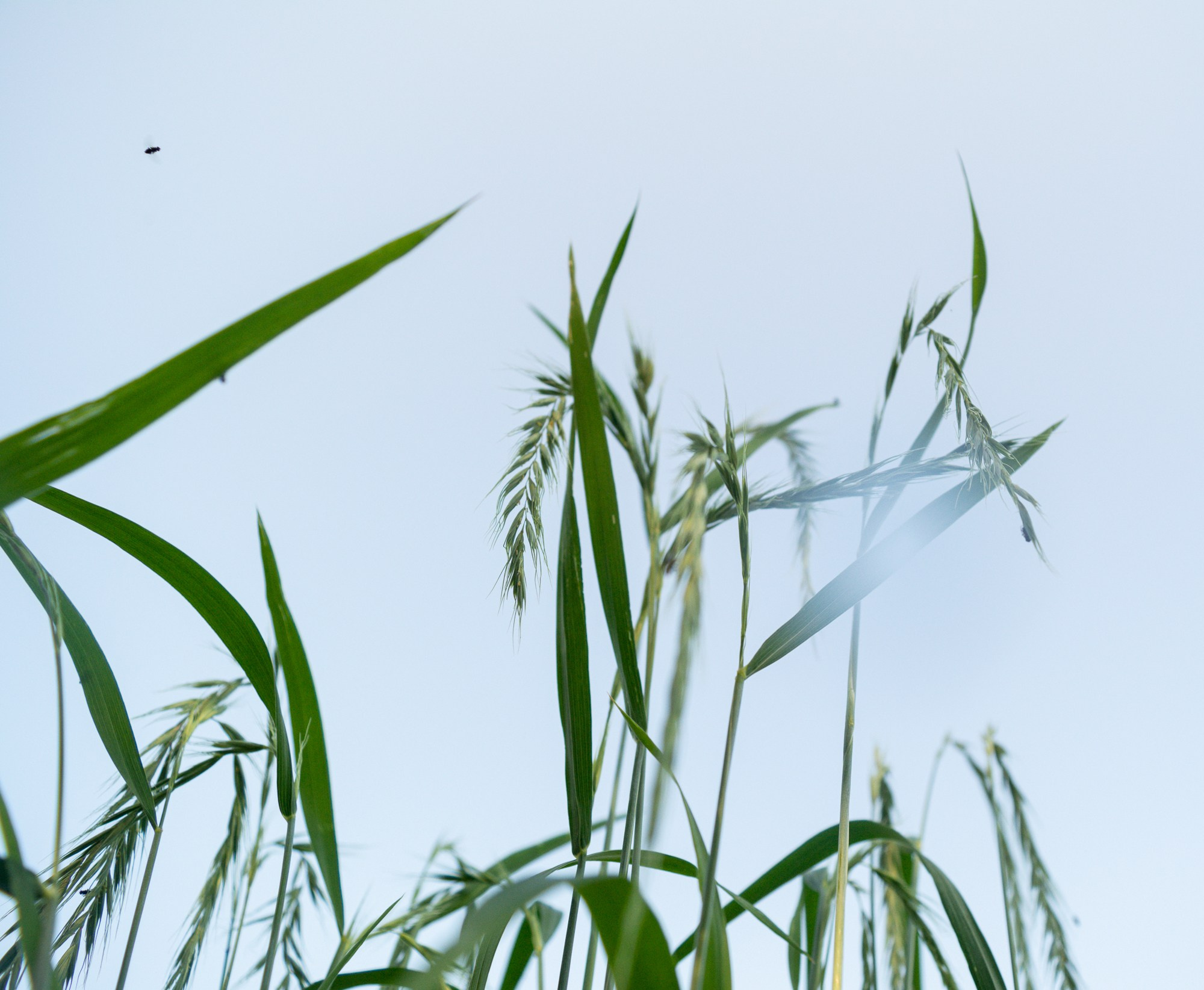 Разное. Репортажный фотограф г. Чита