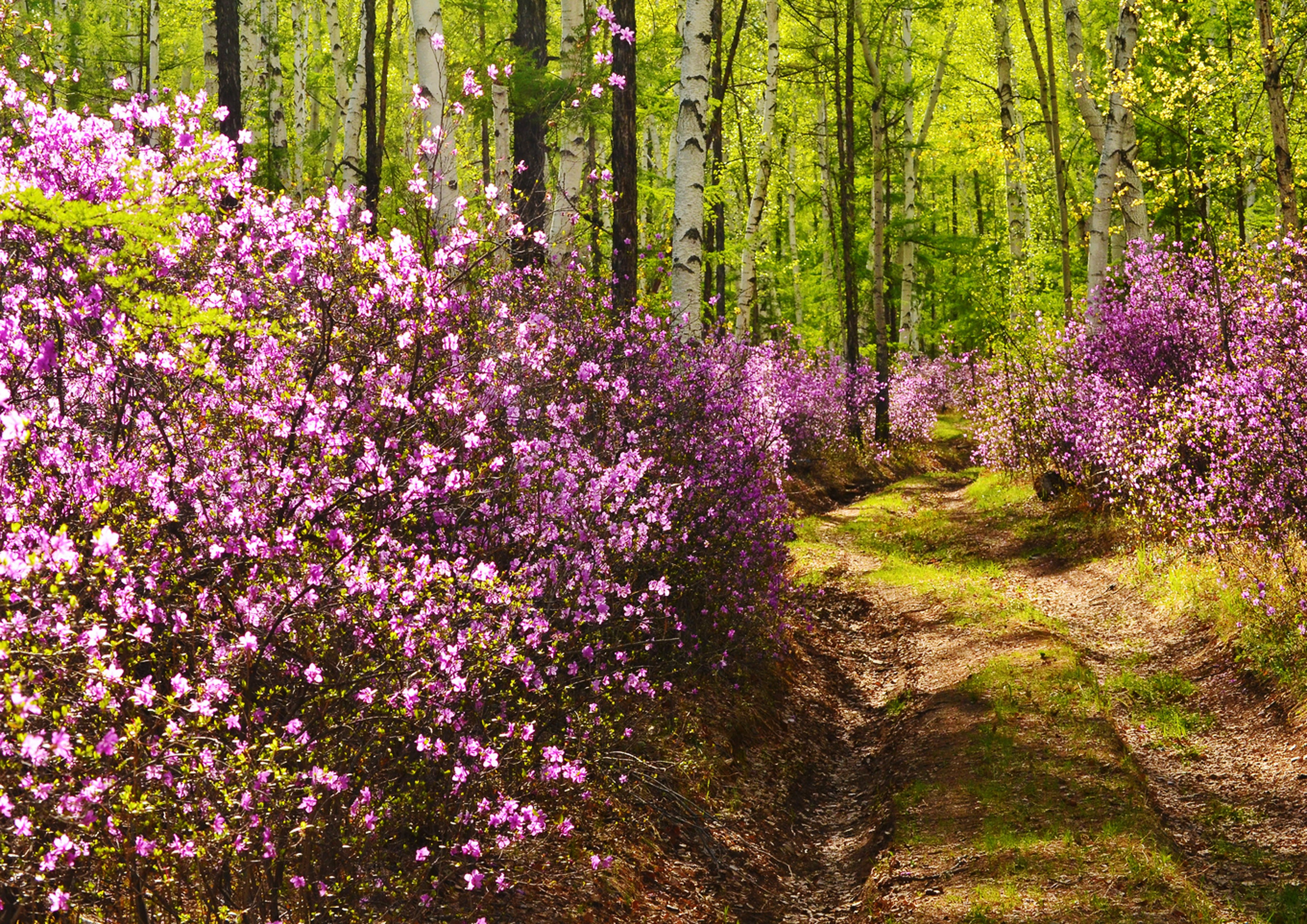 Разное. Репортажный фотограф г. Чита
