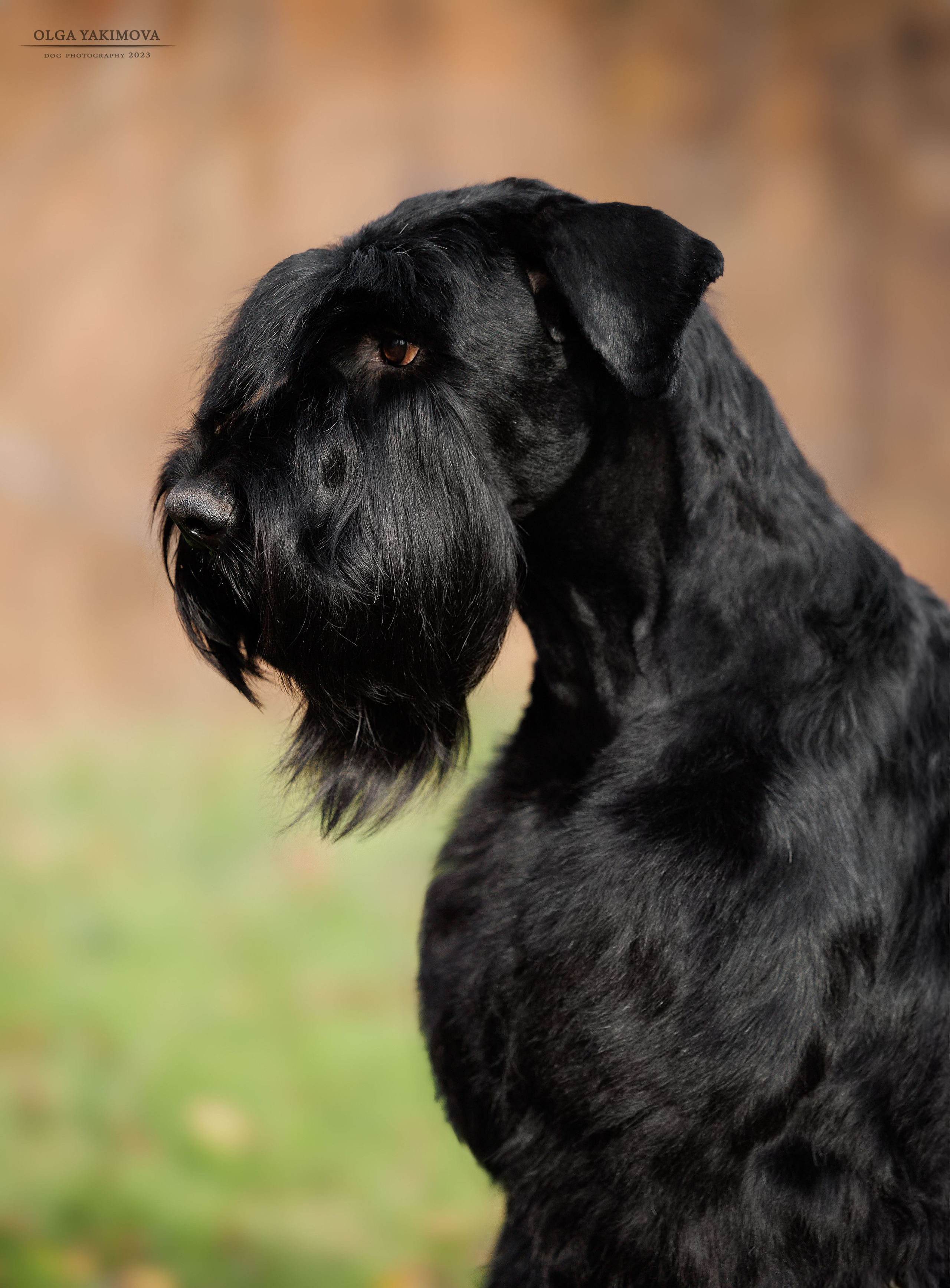 Экстерьер. Фотограф