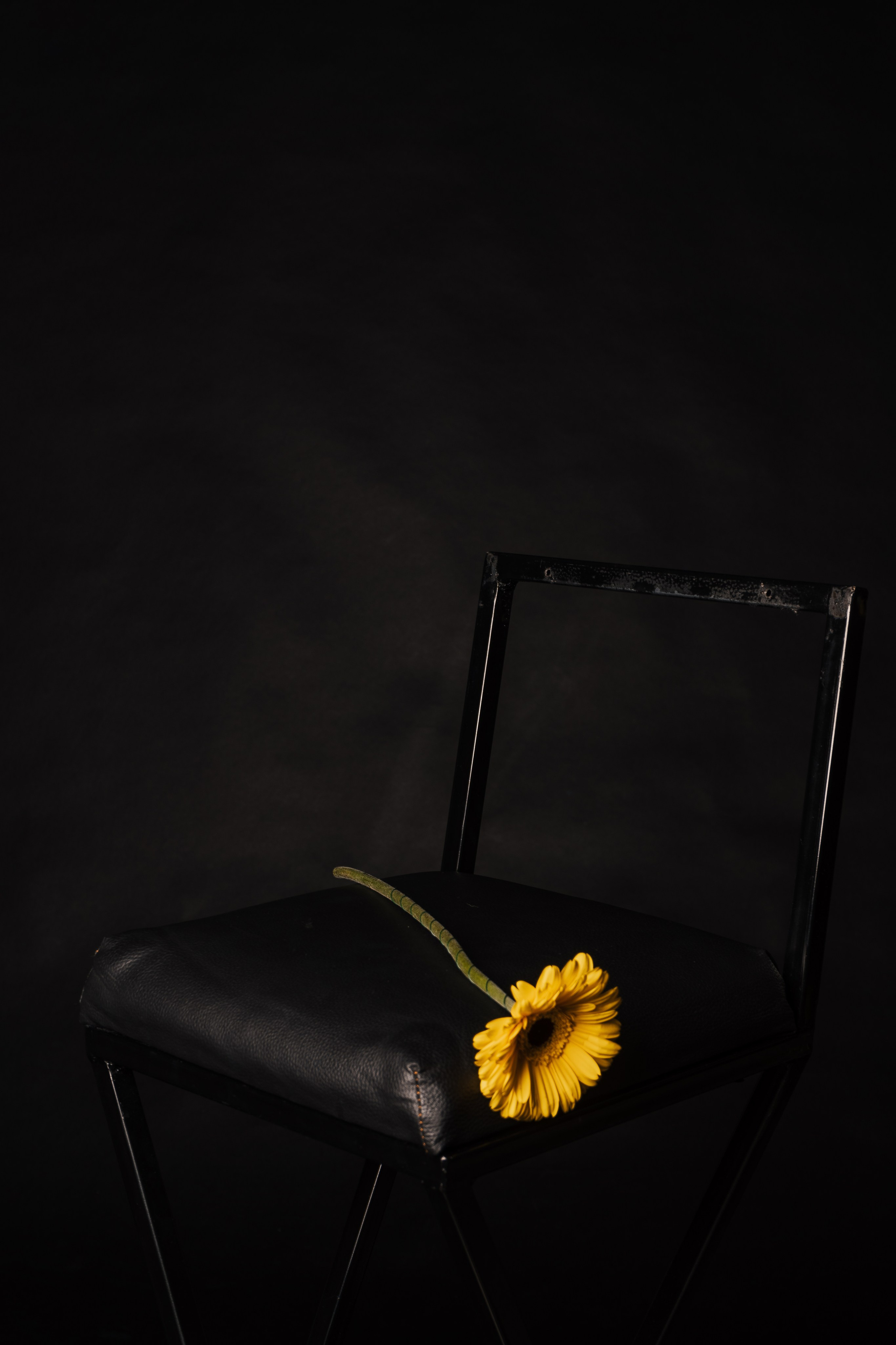 Любовь Уразайкина. Портретный фотограф Нижний Новгород