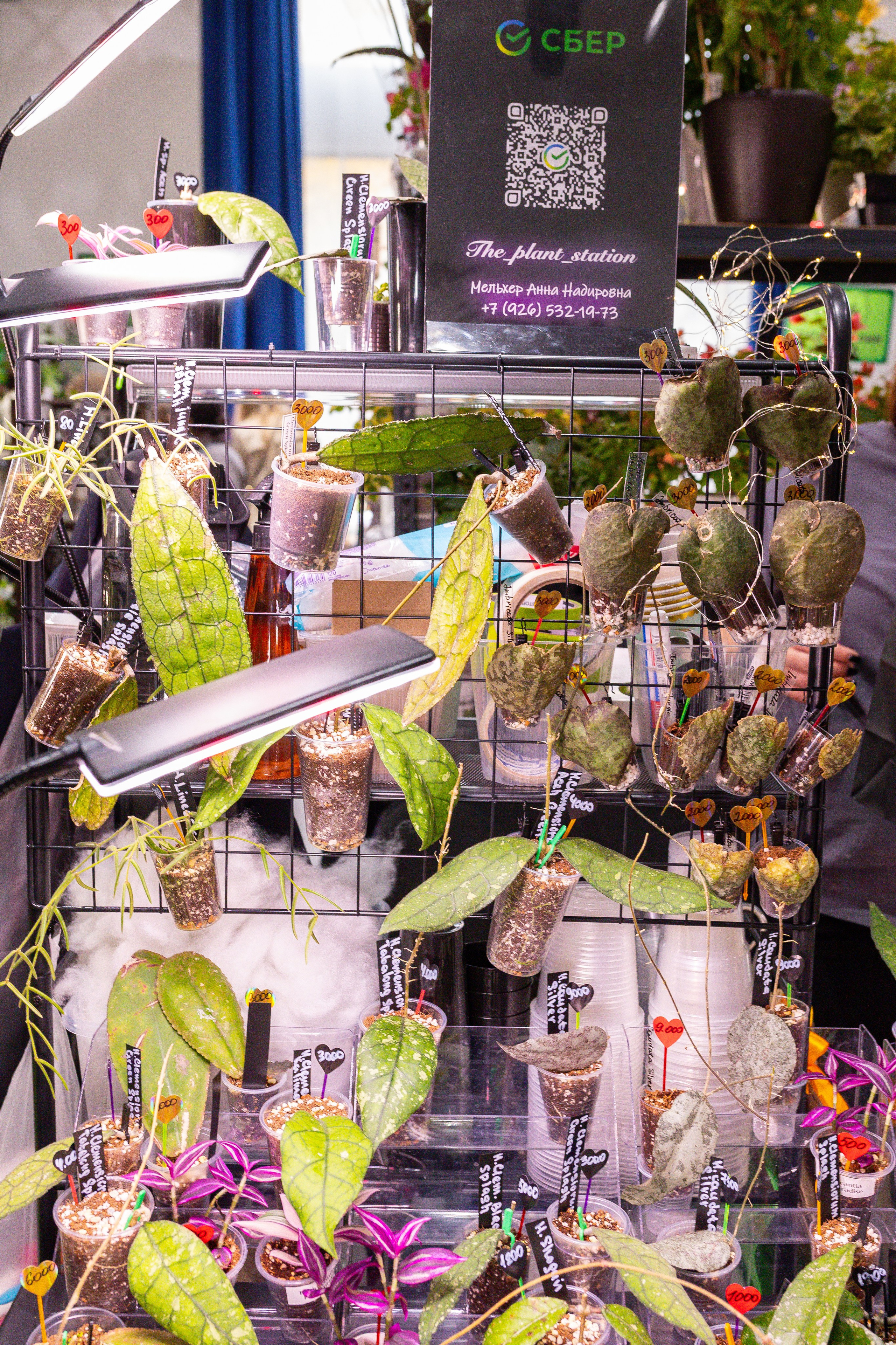 Монстериум 11–12 октября. Александра Куликова фотограф, Москва